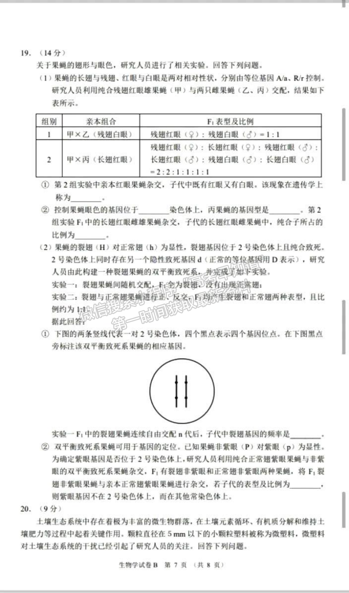 2023廣州高三12月調研（零模）生物試題