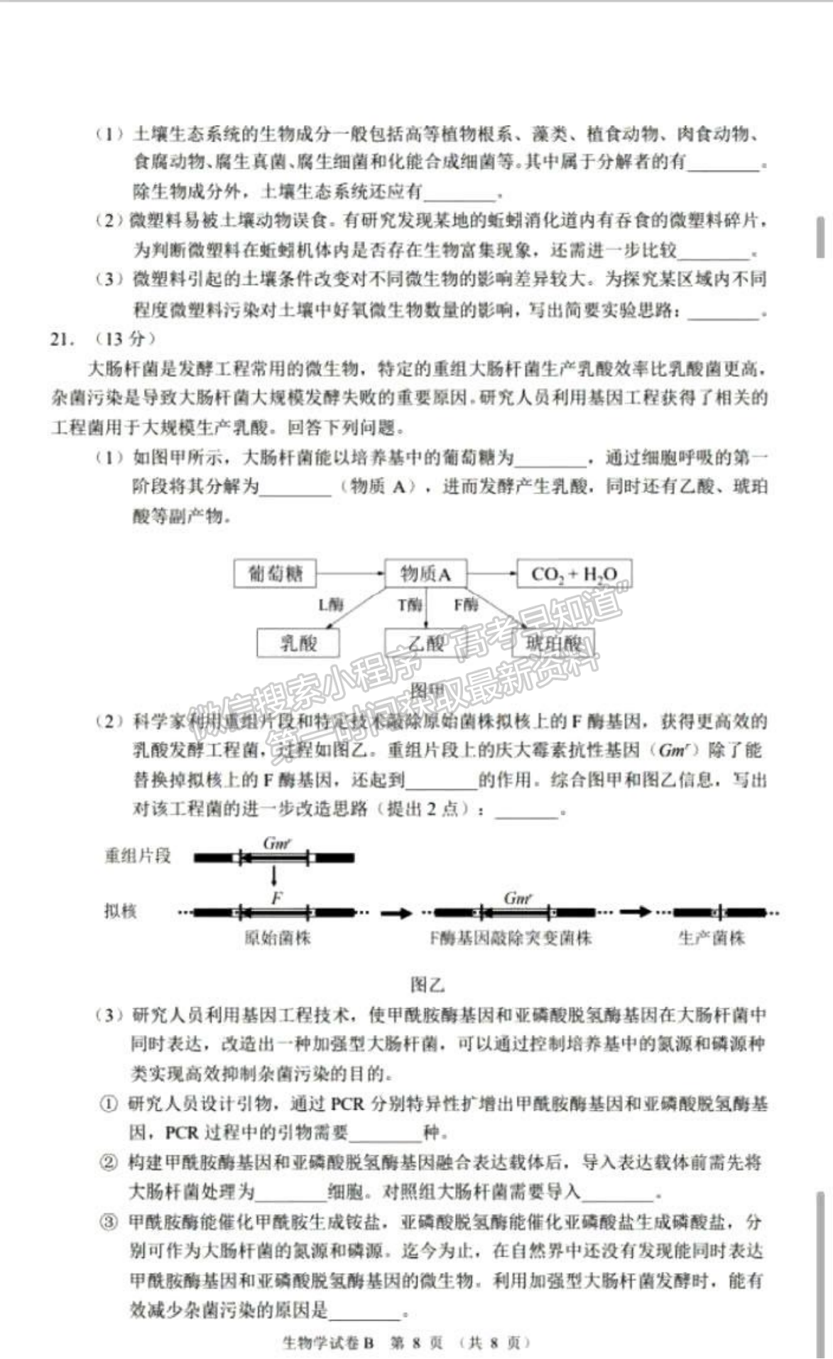 2023廣州高三12月調研（零模）生物試題