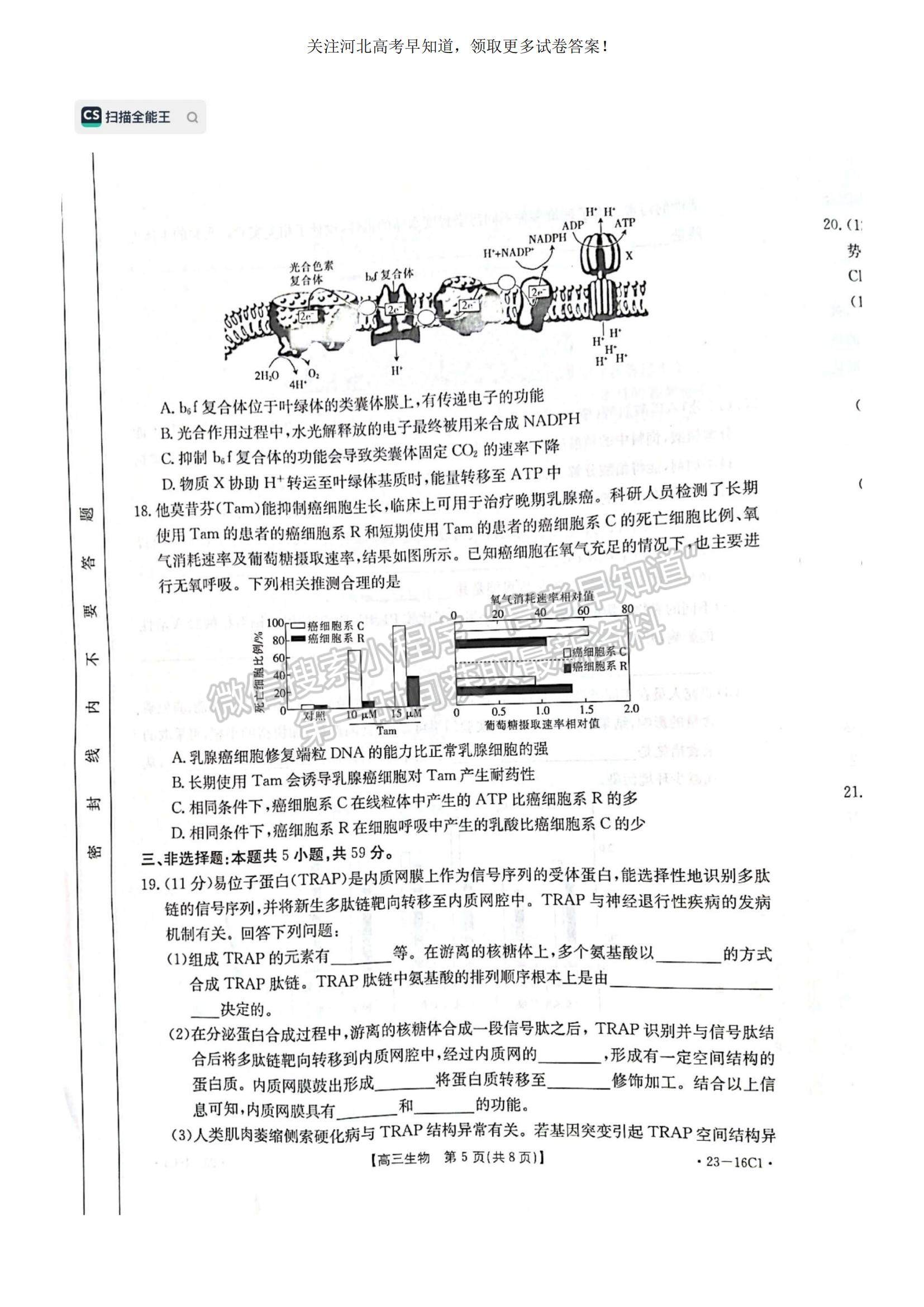 2023河北省保定市部分學校高三上學期開學考試生物試題及參考答案