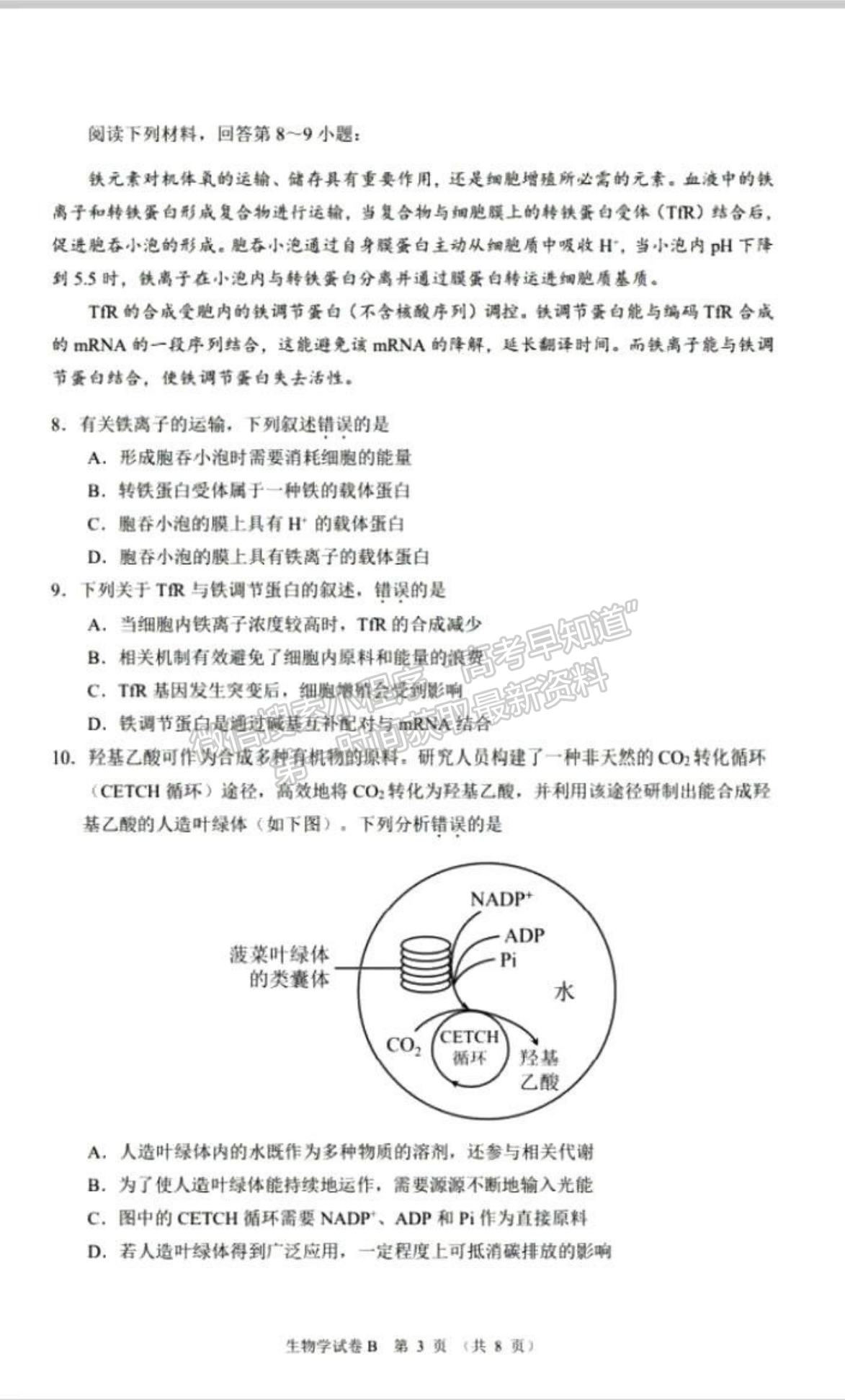 2023廣州高三12月調研（零模）生物試題