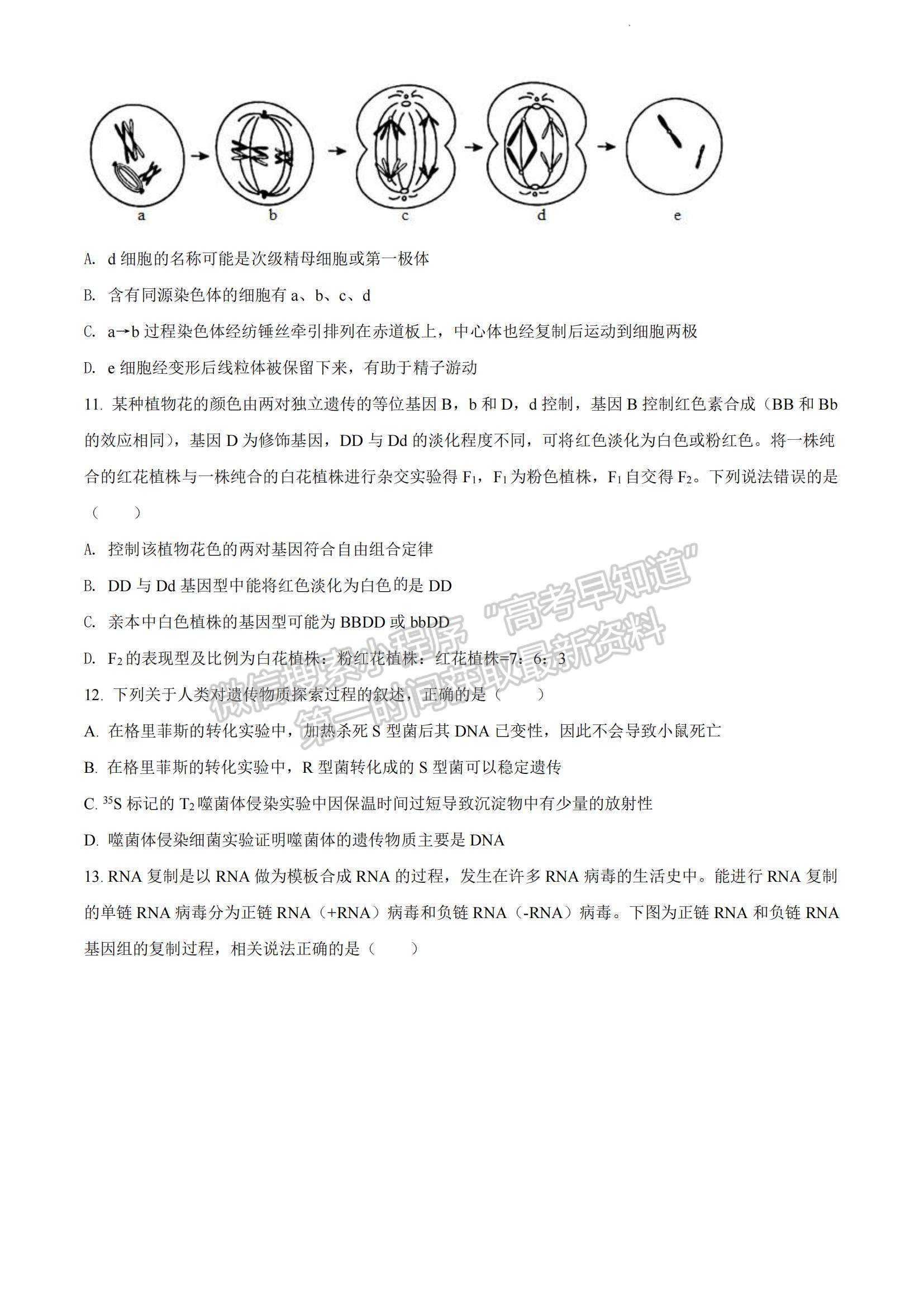 2023河南省安陽市高三上學期TOP二十名校調(diào)研摸底考試生物試題及參考答案