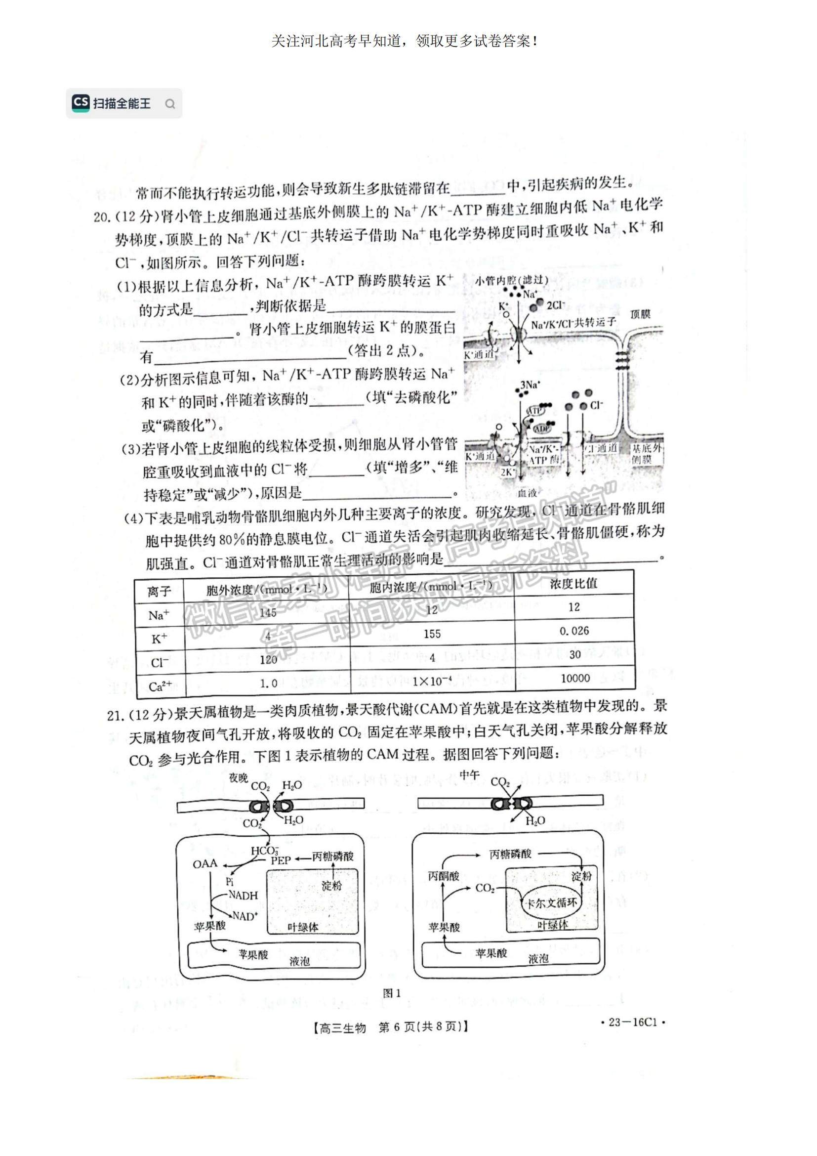 2023河北省保定市部分學校高三上學期開學考試生物試題及參考答案