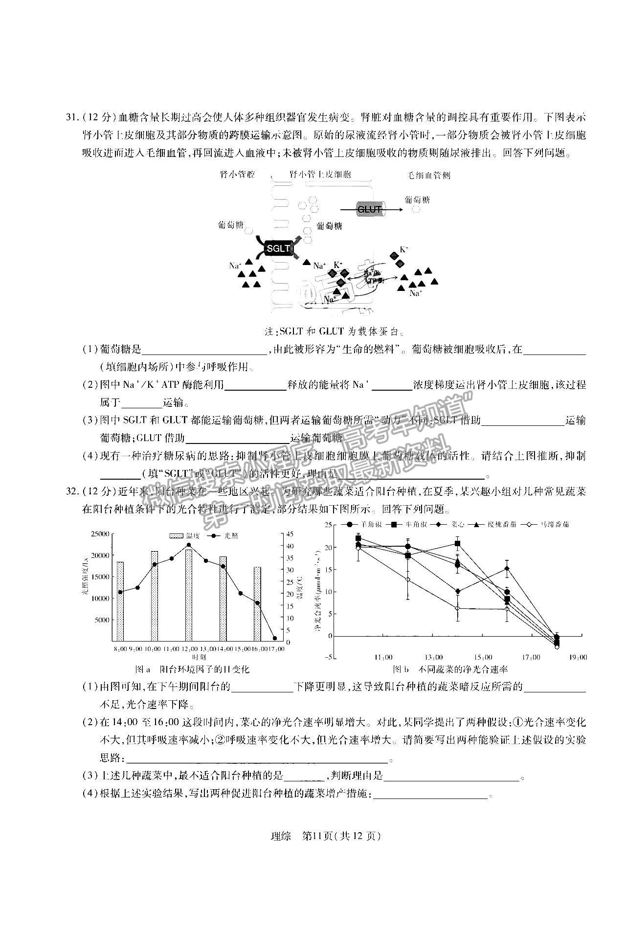 2023江西智慧上进高三12月一轮总复习验收考理综试题及参考答案