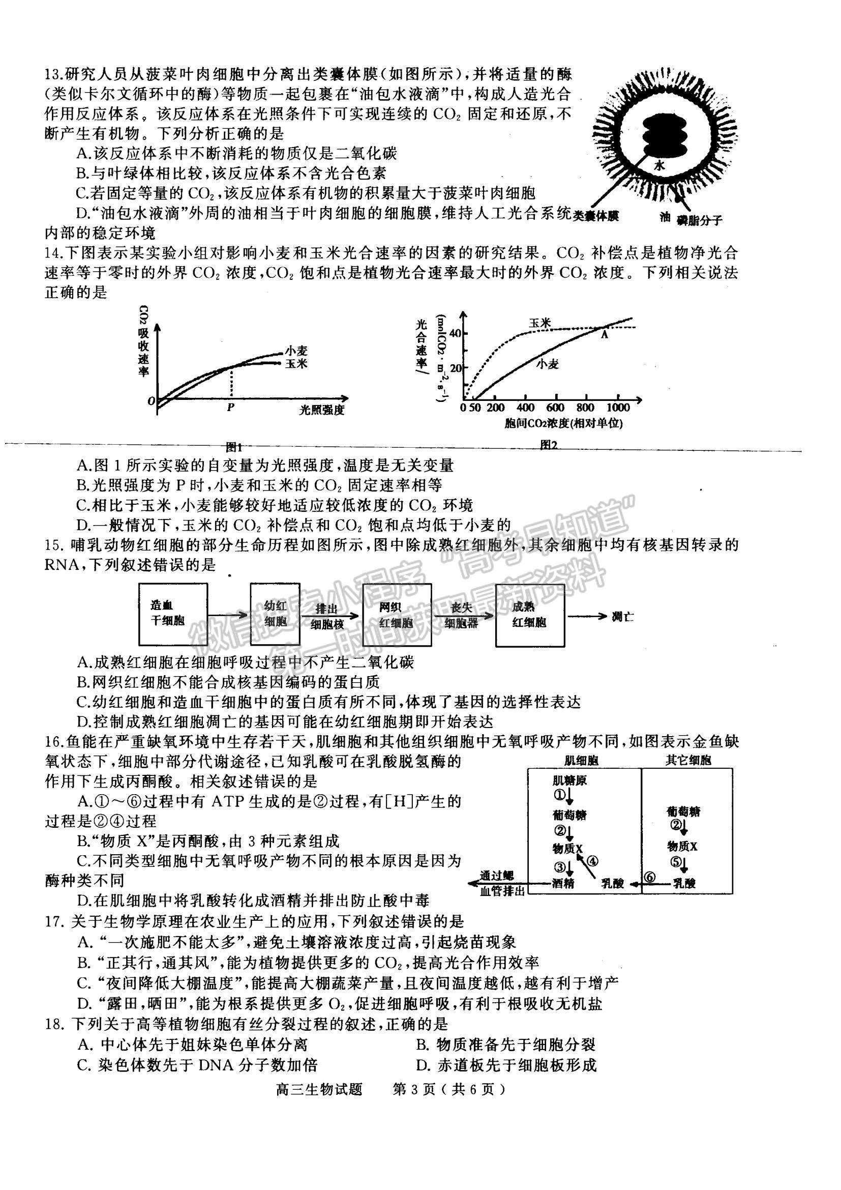 2023河南省信陽市普通高中高三第一次教學質量檢測生物試題及參考答案