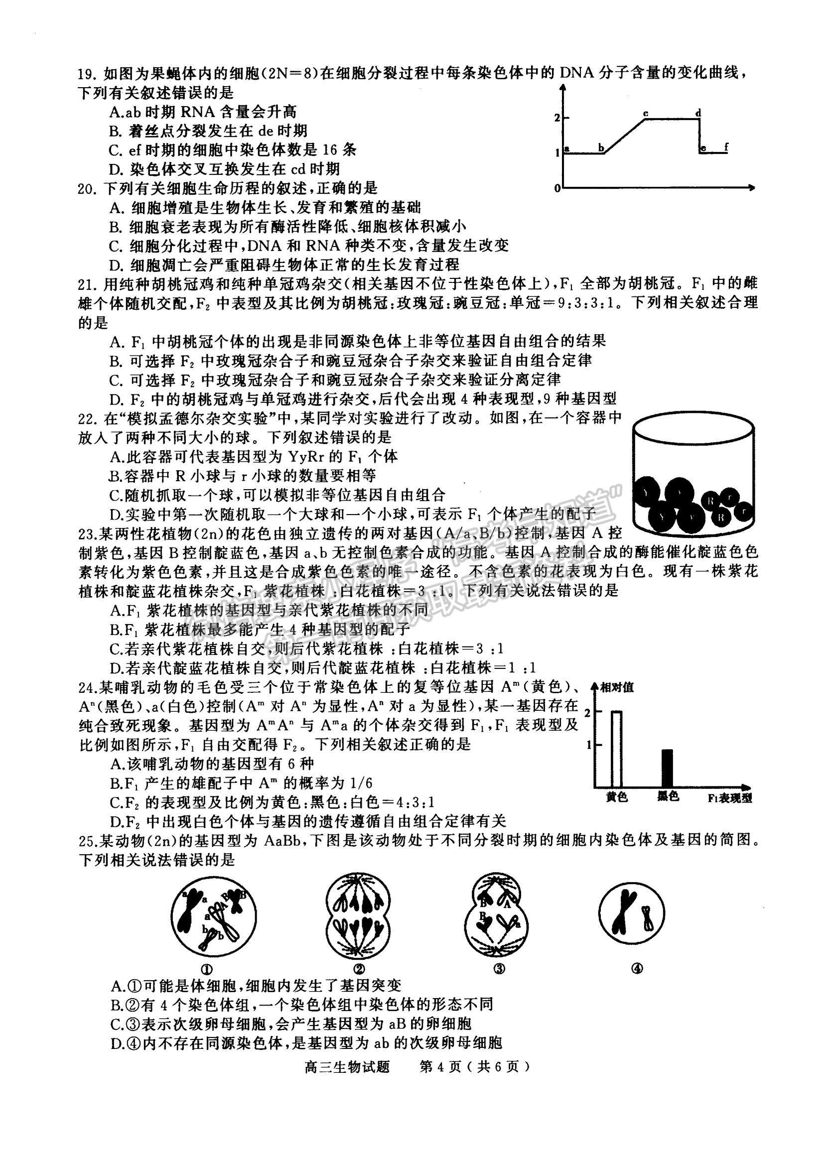 2023河南省信陽市普通高中高三第一次教學質量檢測生物試題及參考答案