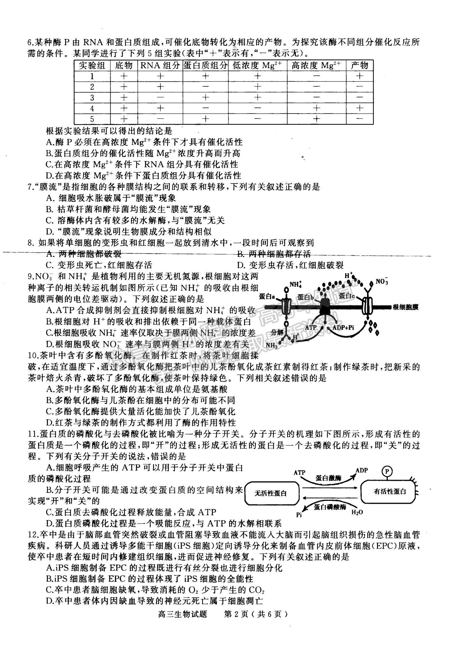 2023河南省信陽市普通高中高三第一次教學(xué)質(zhì)量檢測生物試題及參考答案