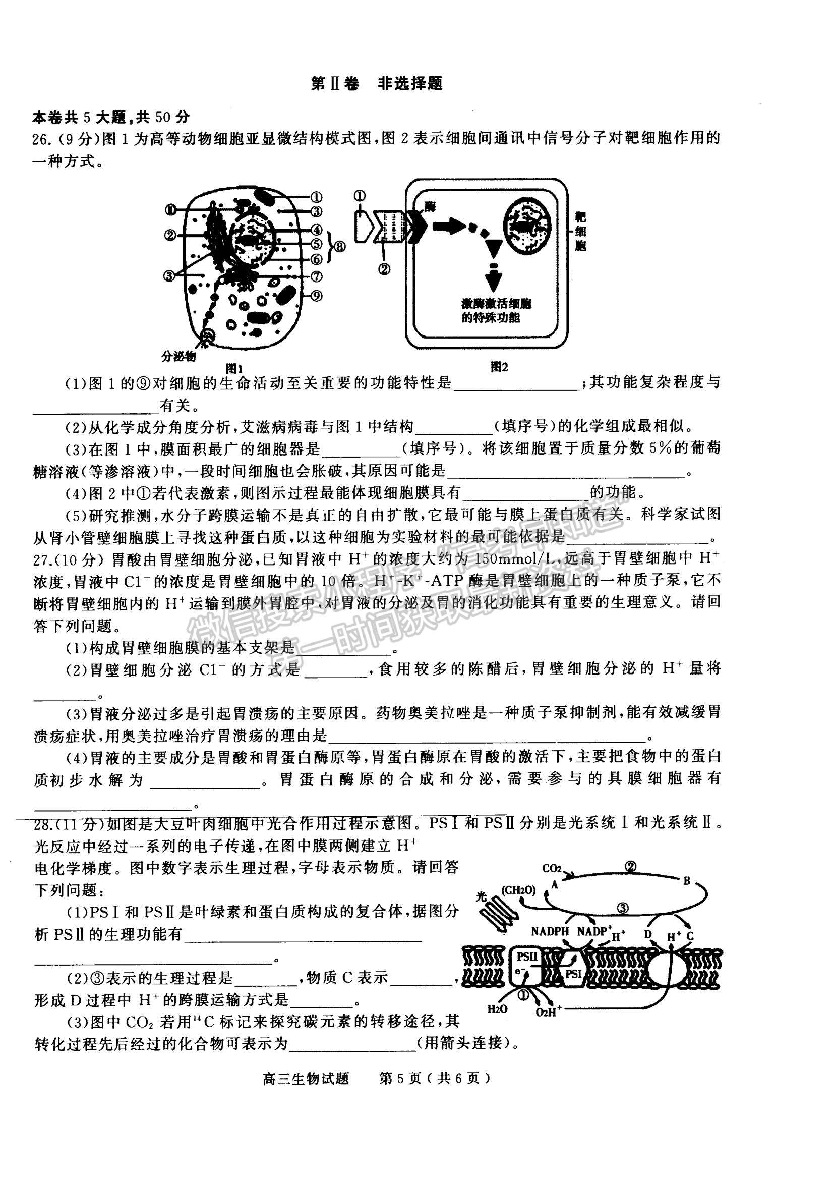 2023河南省信陽市普通高中高三第一次教學(xué)質(zhì)量檢測生物試題及參考答案