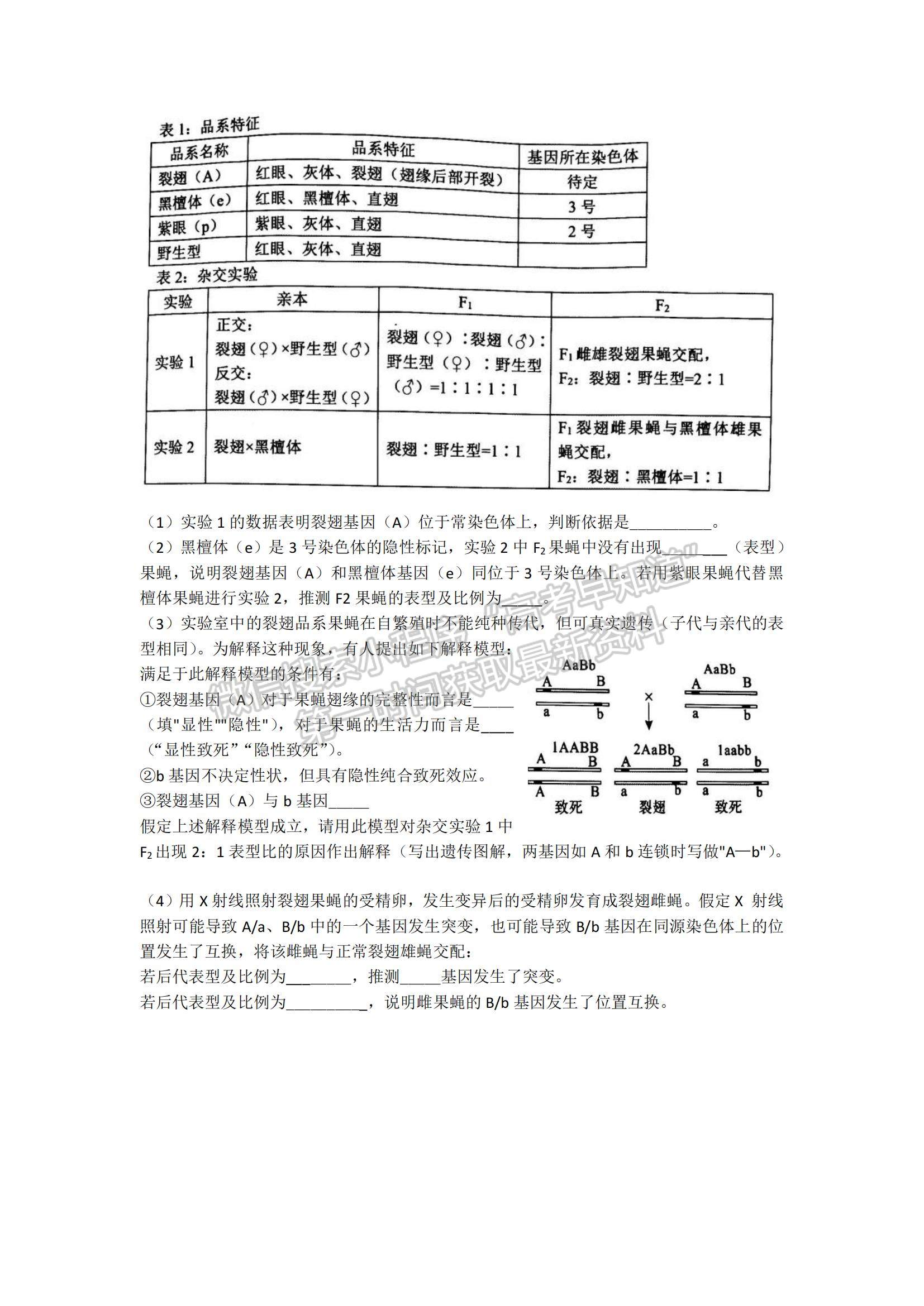 2023山東省淄博市部分學(xué)校高三12月摸底考試-生物試卷及答案