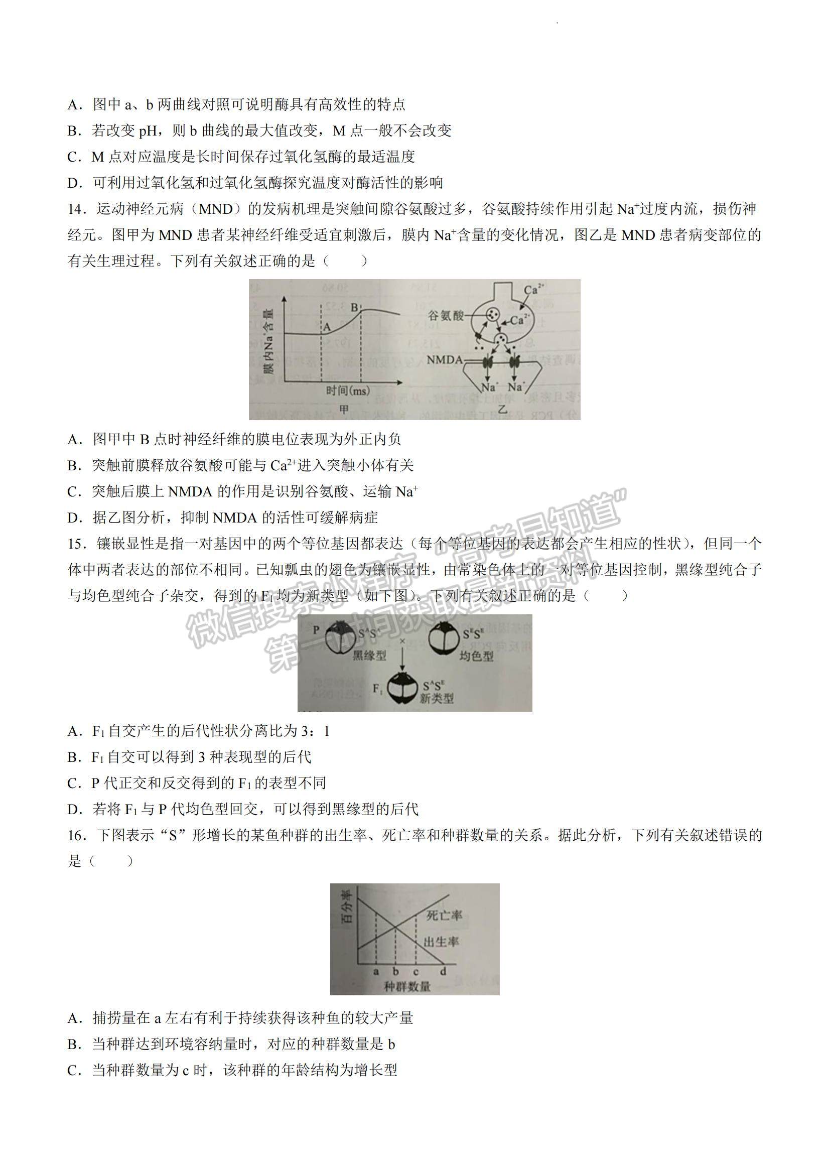 2023湖南省永州市高三上學期第一次適應(yīng)性考試生物試題及參考答案