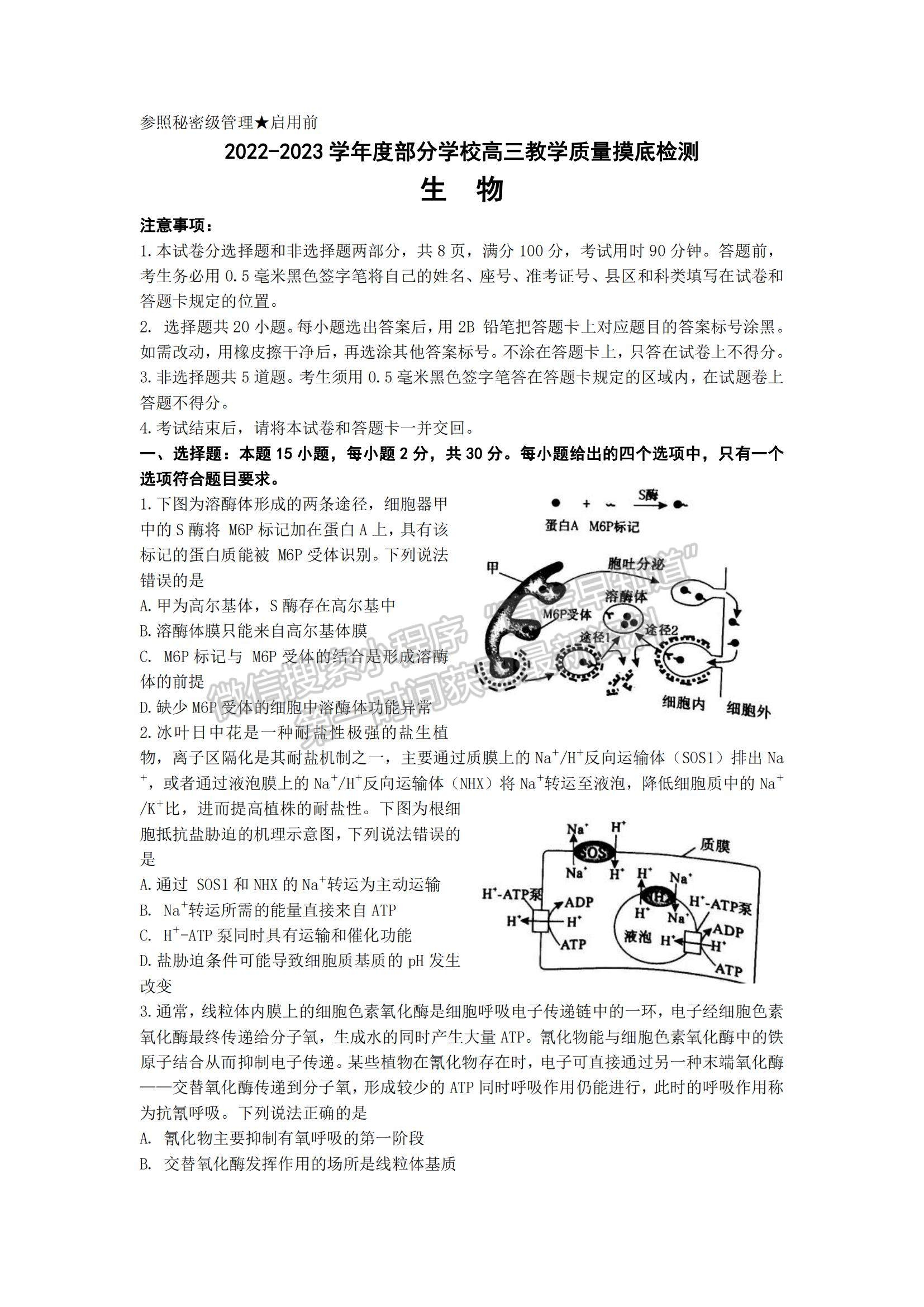 2023山東省淄博市部分學(xué)校高三12月摸底考試-生物試卷及答案