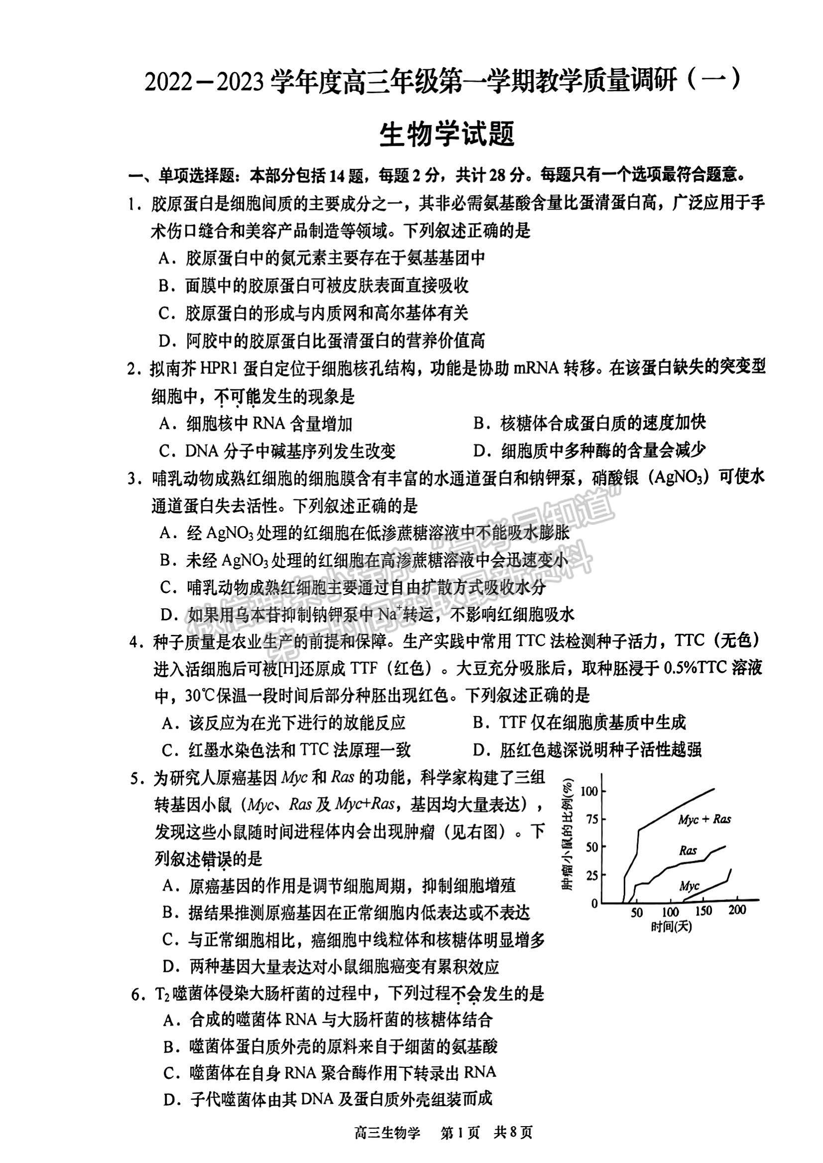 2023江蘇省如皋市高三上學期教學質(zhì)量調(diào)研（一）生物試題及參考答案