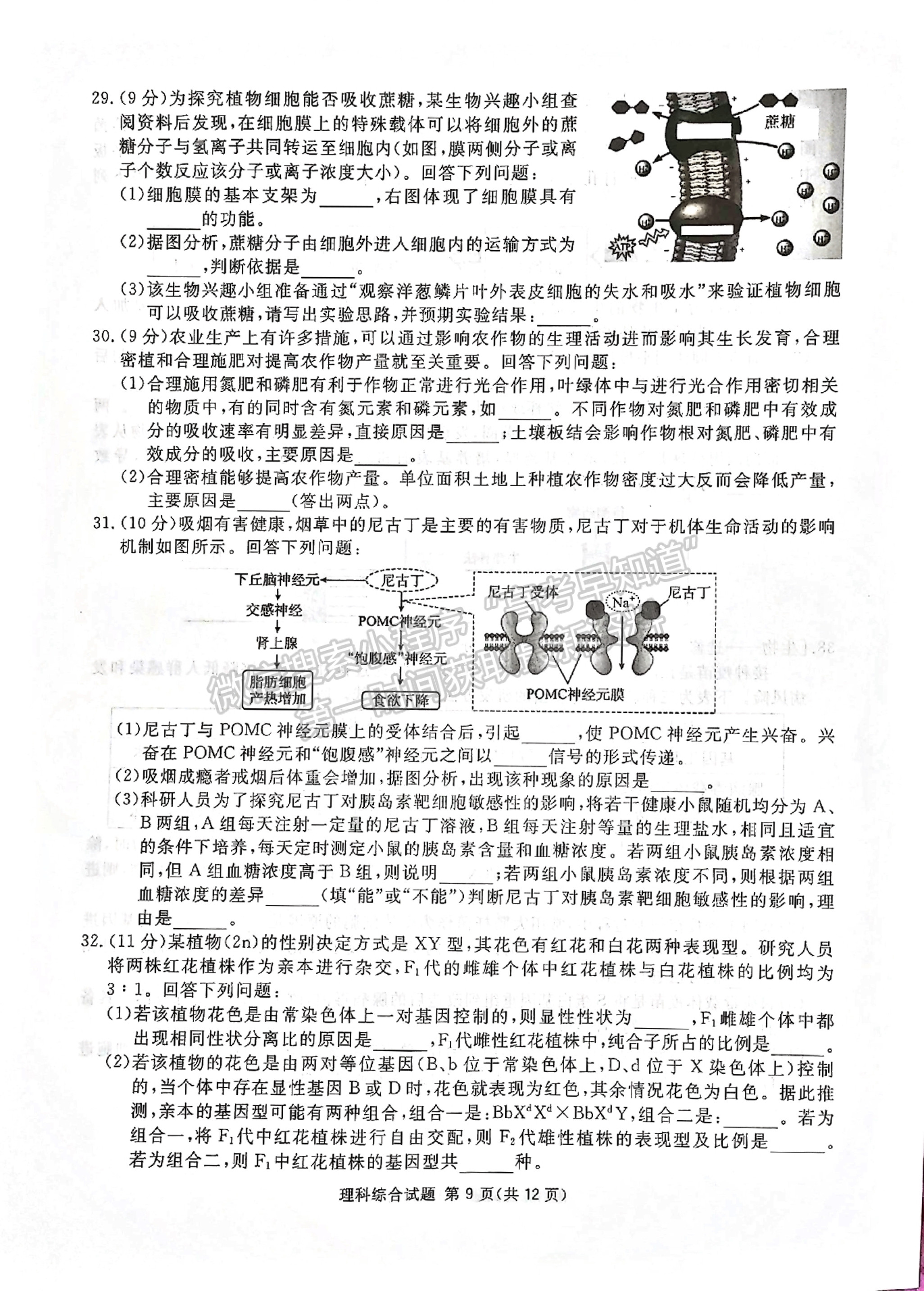 2023四川省廣安/眉山/遂寧/雅安/廣元/資陽六市第一次診斷性考試?yán)砜凭C合試題