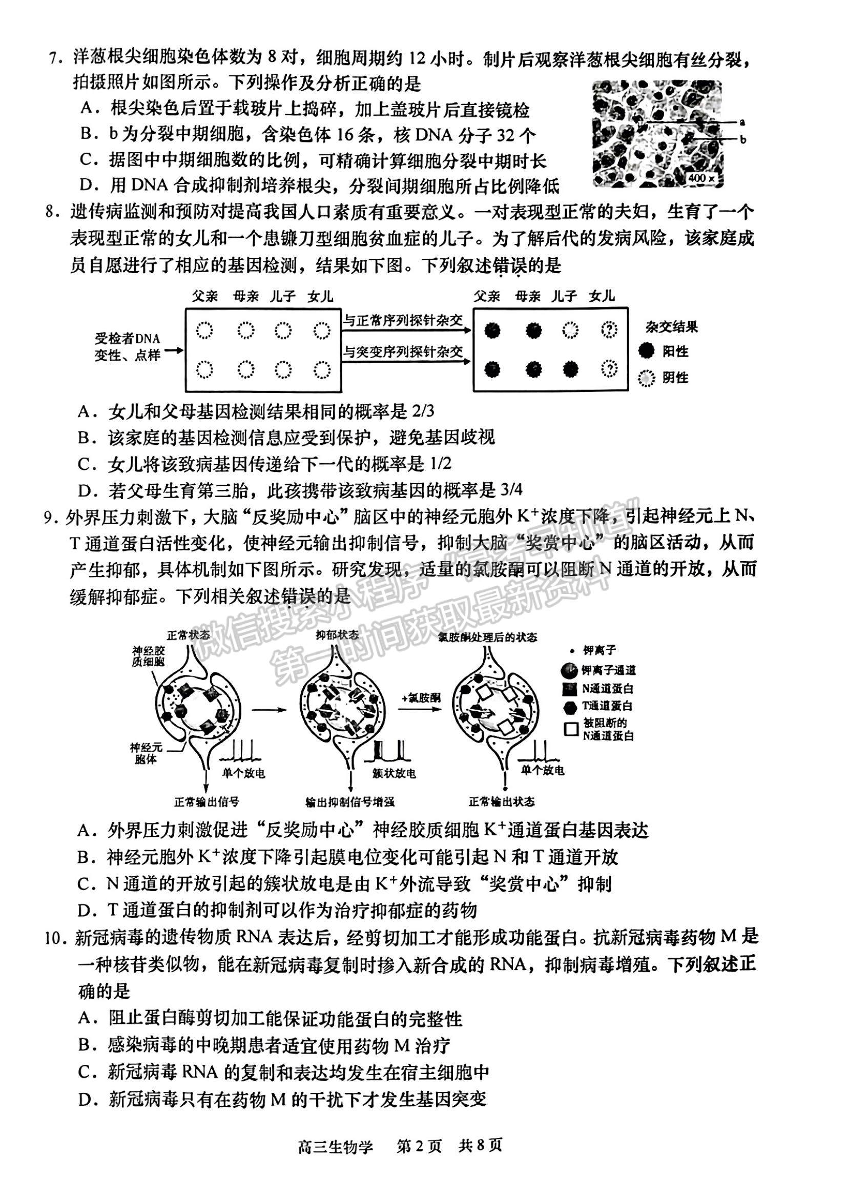 2023江蘇省如皋市高三上學期教學質(zhì)量調(diào)研（一）生物試題及參考答案