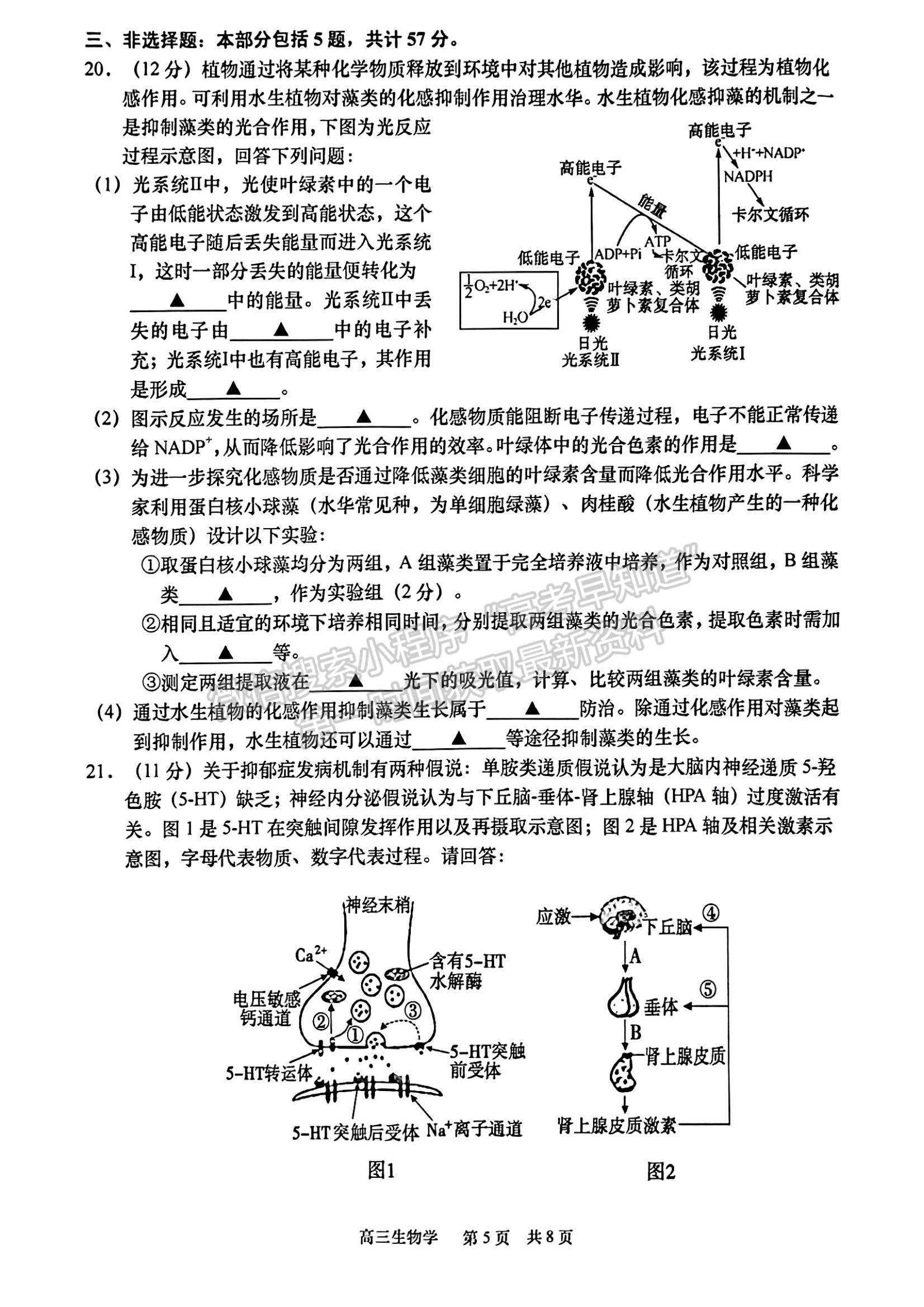 2023江蘇省如皋市高三上學(xué)期教學(xué)質(zhì)量調(diào)研（一）生物試題及參考答案