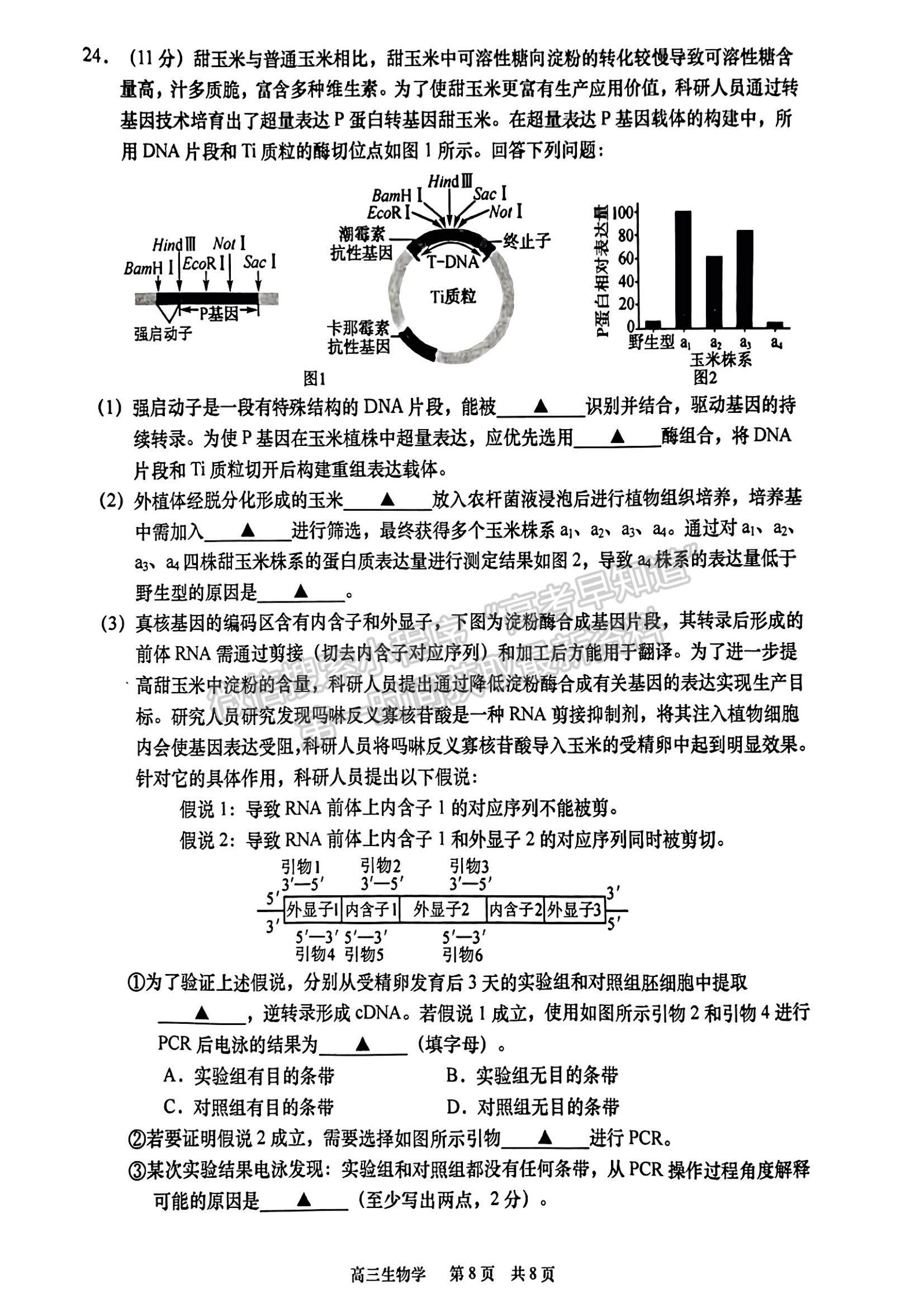 2023江蘇省如皋市高三上學(xué)期教學(xué)質(zhì)量調(diào)研（一）生物試題及參考答案