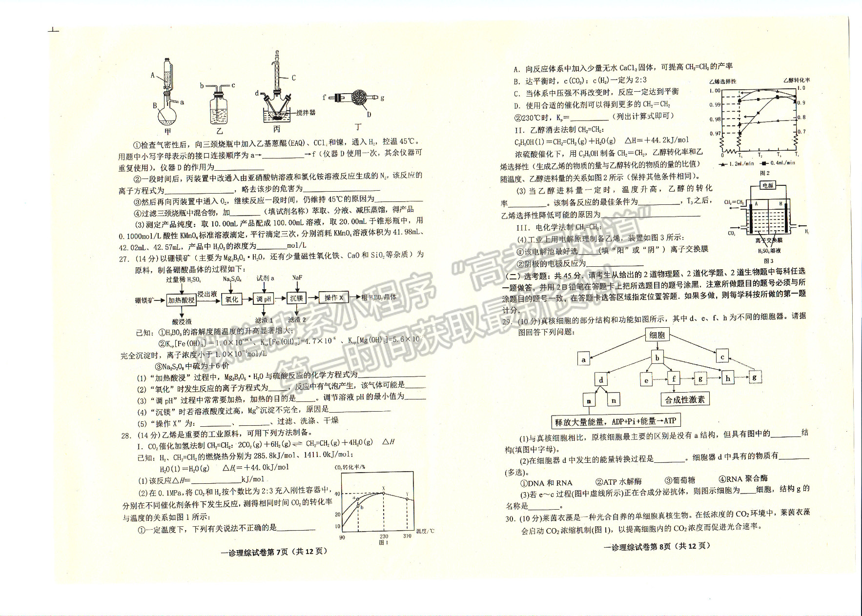 2023四川省達(dá)州市普通高中2023屆第一次診斷性考試?yán)砜凭C合試題及答案