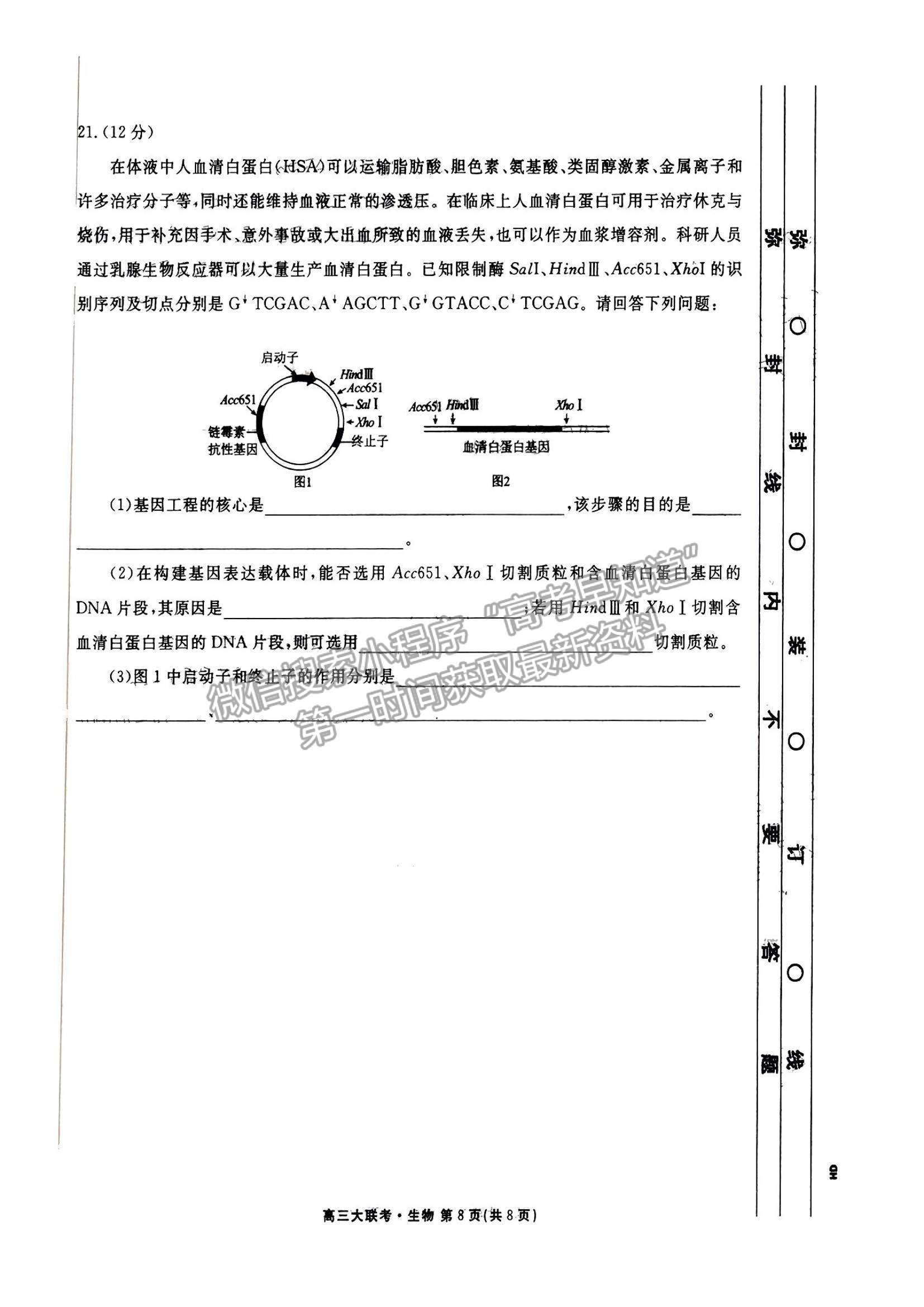 2023廣東衡水金卷高三12月聯(lián)考生物試題及答案