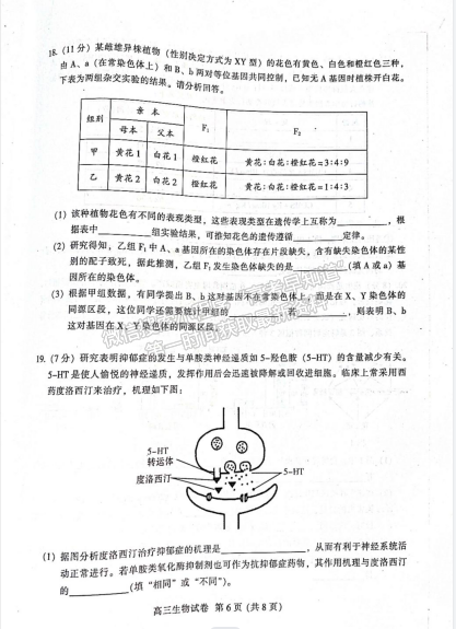 2023廣東省廣州市越秀區(qū)高三上學期10月統(tǒng)考生物試題及參考答案