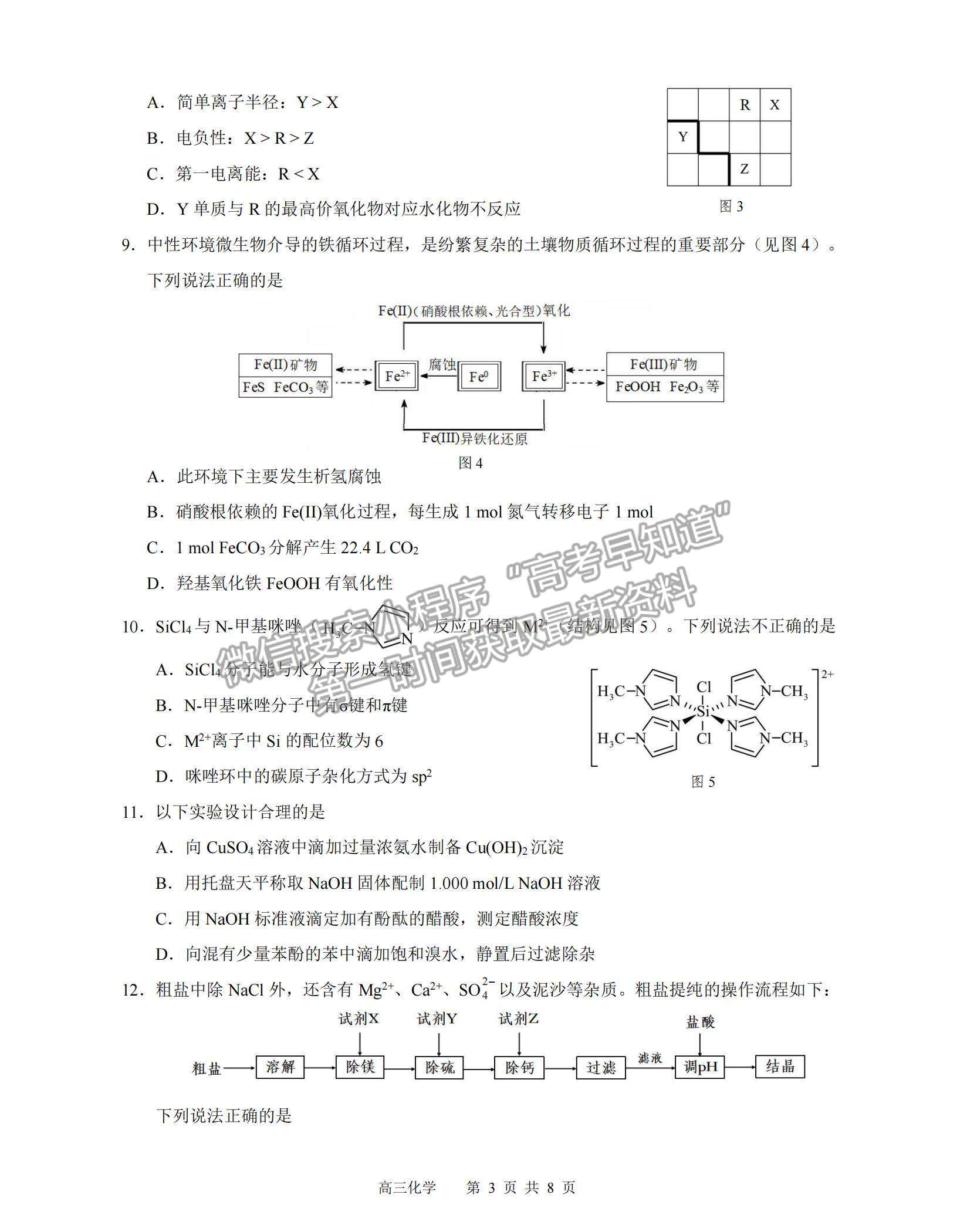 2023東莞高三期末摸底考化學試題及答案