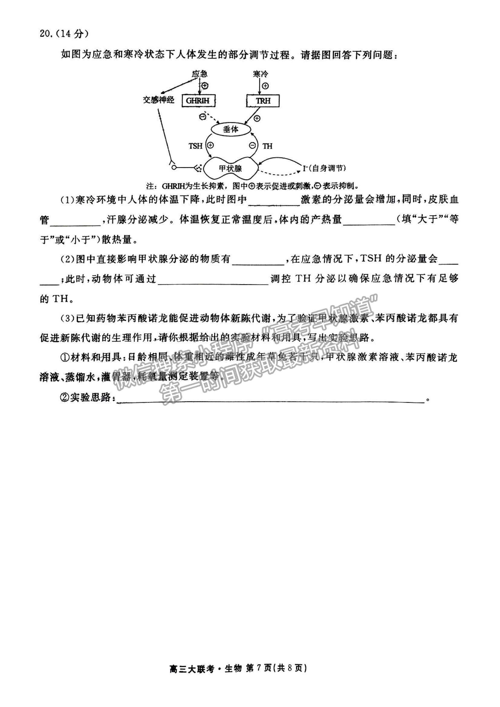 2023廣東衡水金卷高三12月聯(lián)考生物試題及答案