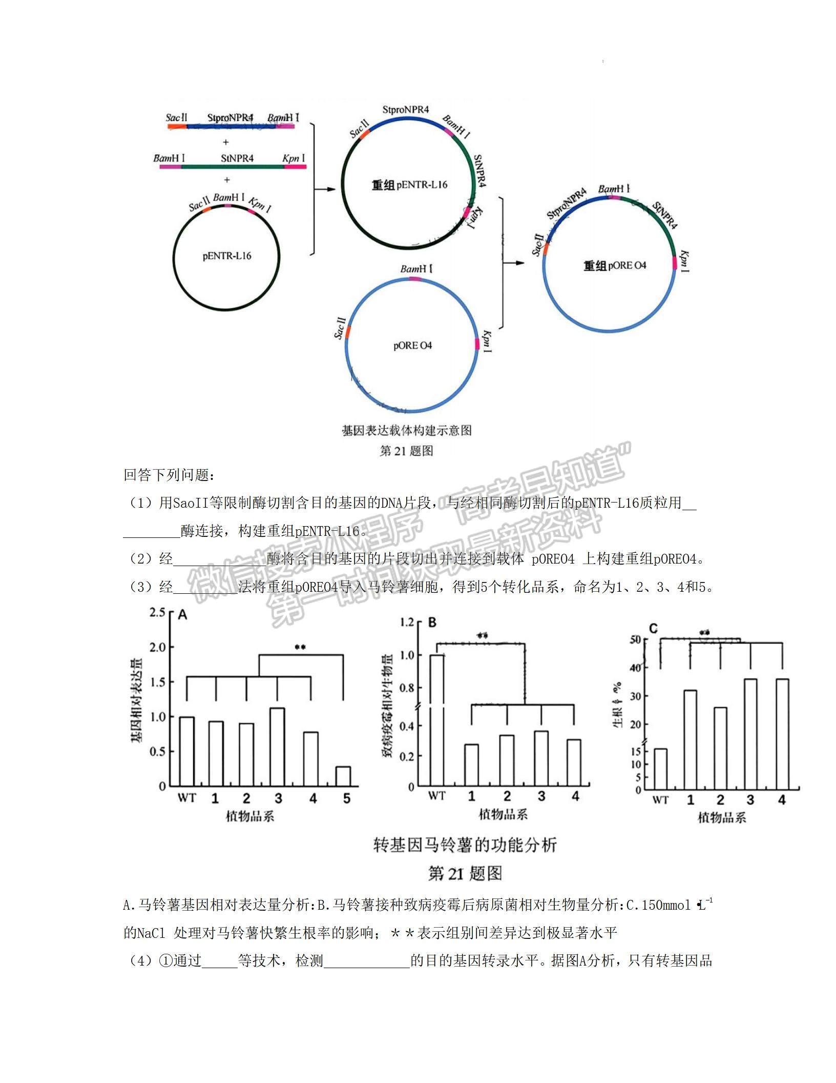 2023東莞高三期末摸底考生物試題及答案