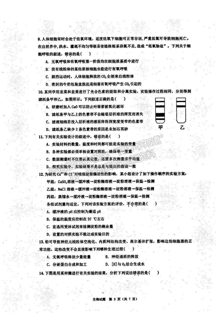 2023廣東省珠海市教研聯(lián)盟校（兩校）高三上學(xué)期10月聯(lián)考生物試題及參考答案