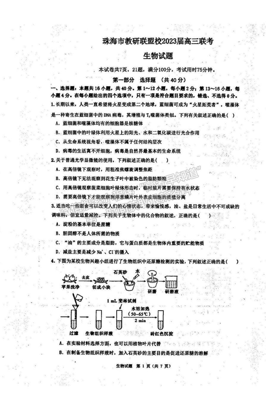 2023廣東省珠海市教研聯(lián)盟校（兩校）高三上學(xué)期10月聯(lián)考生物試題及參考答案