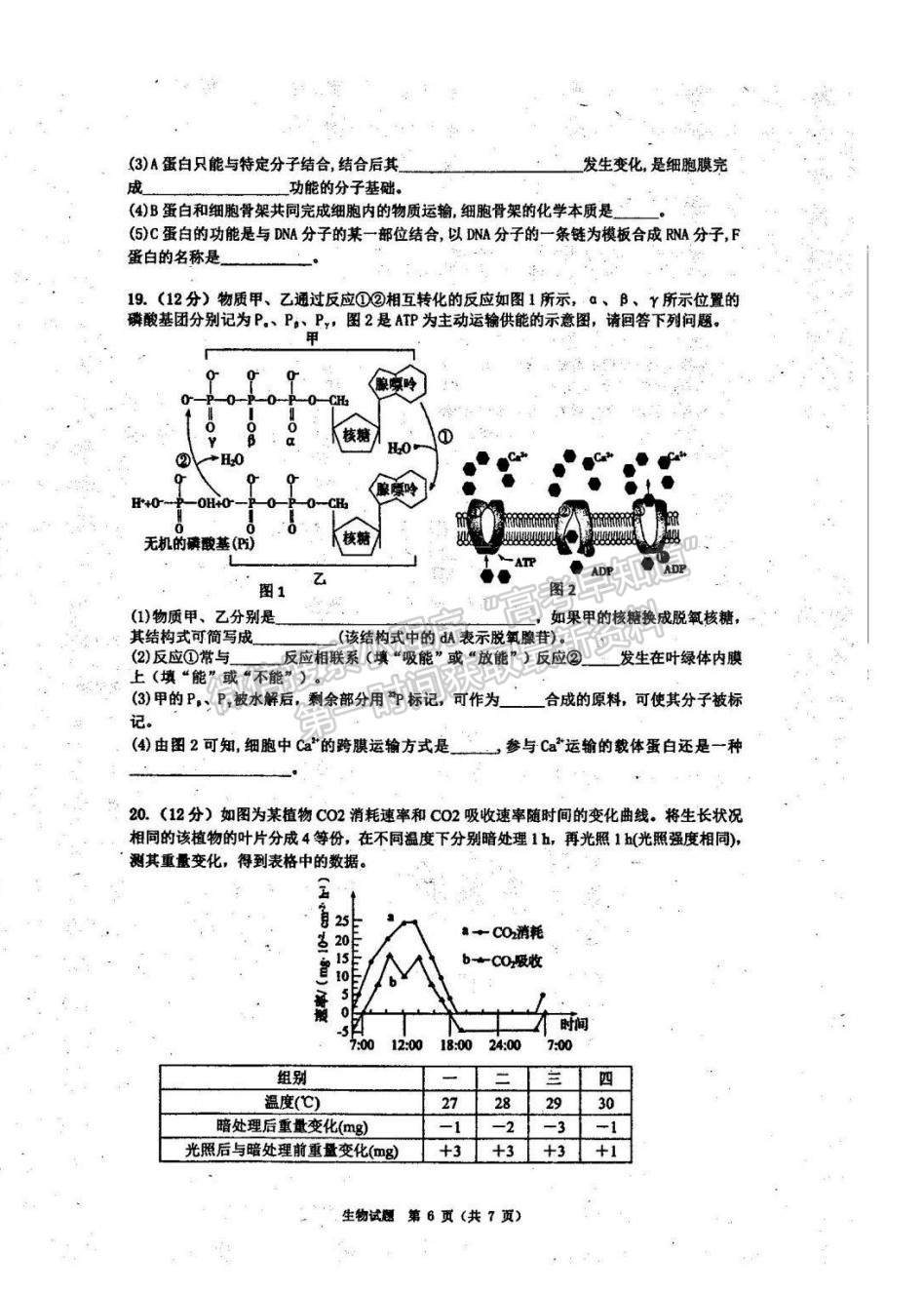 2023廣東省珠海市教研聯(lián)盟校（兩校）高三上學(xué)期10月聯(lián)考生物試題及參考答案