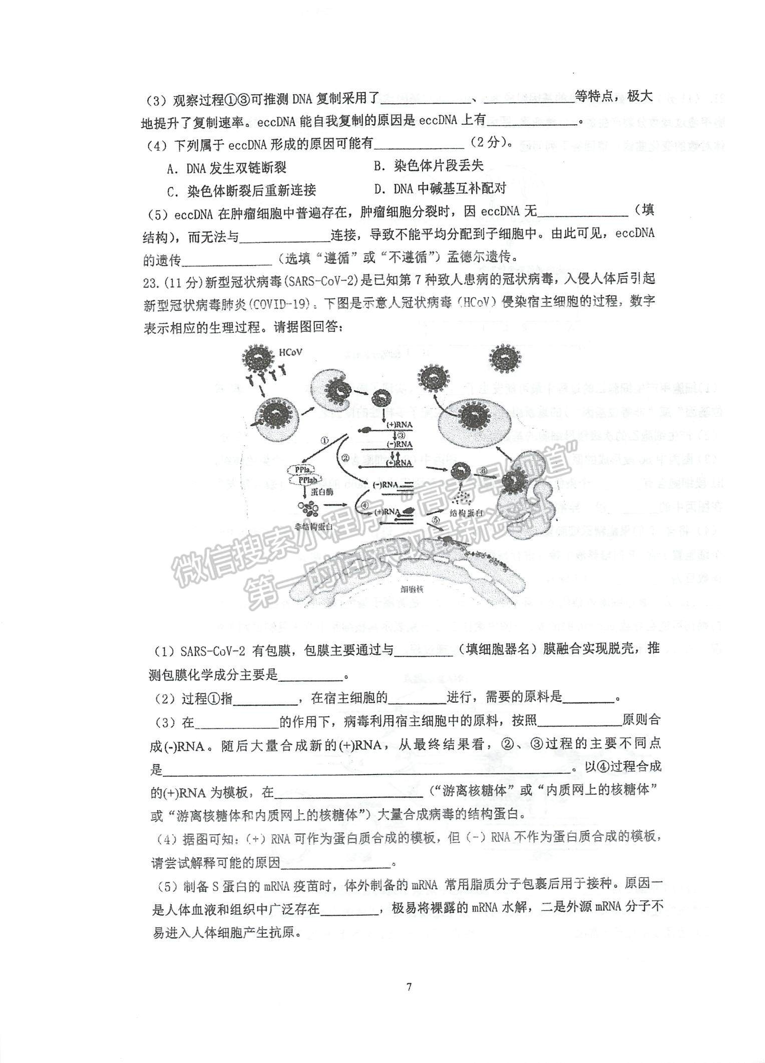 2023江蘇省泰州中學(xué)高三上學(xué)期第一次月度檢測生物試題及參考答案