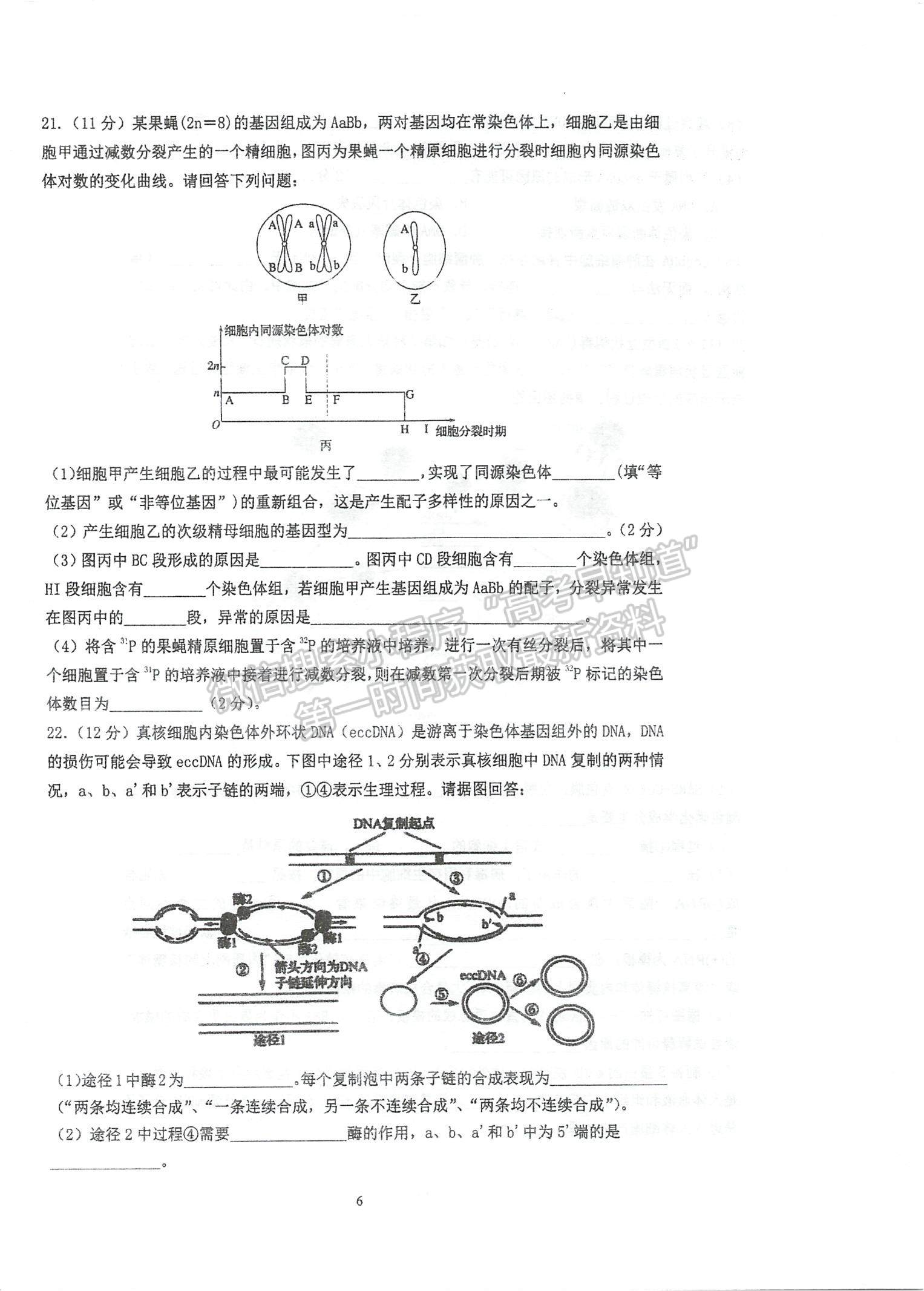 2023江蘇省泰州中學(xué)高三上學(xué)期第一次月度檢測生物試題及參考答案