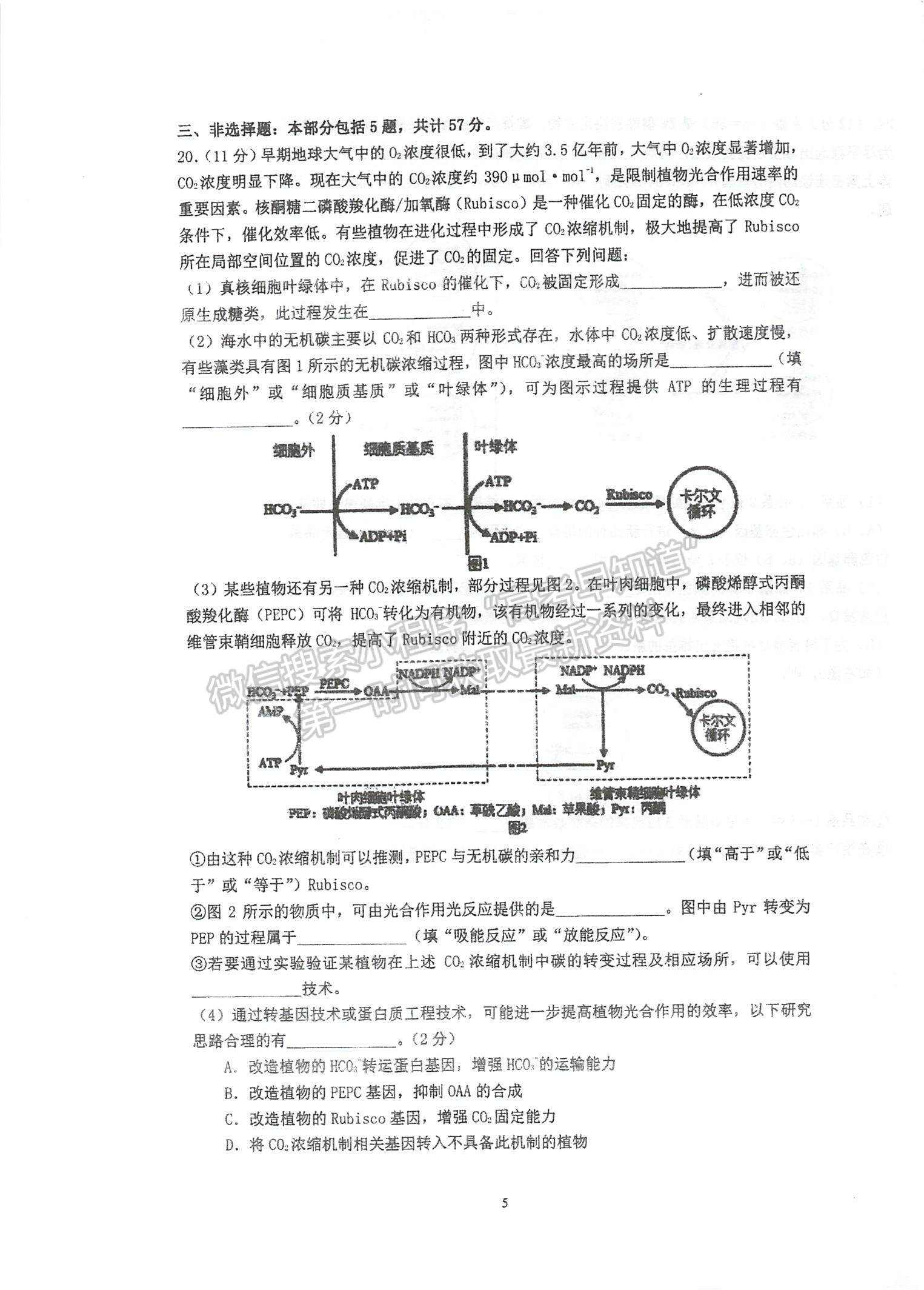 2023江蘇省泰州中學(xué)高三上學(xué)期第一次月度檢測生物試題及參考答案