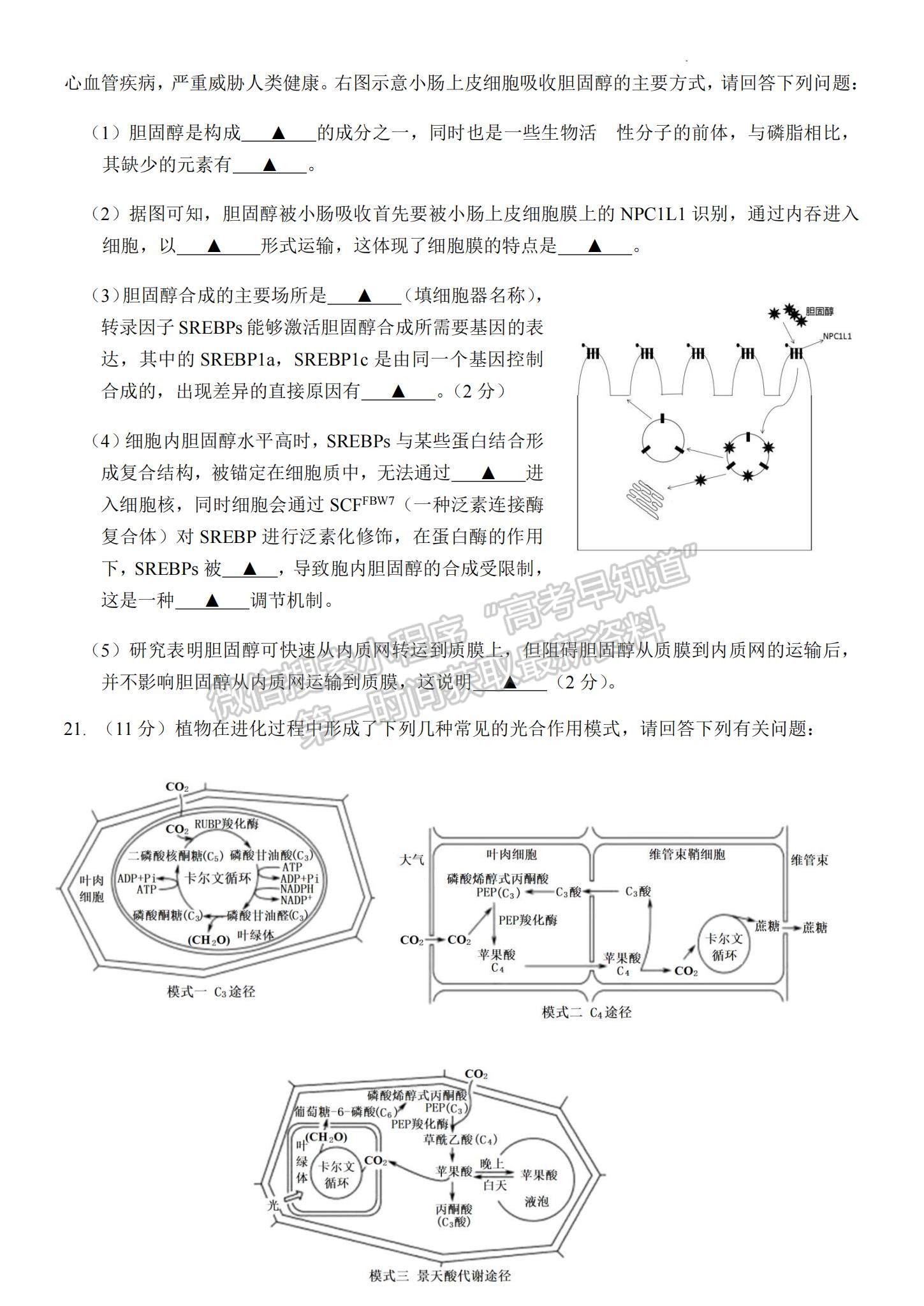 2023江蘇省揚(yáng)州中學(xué)高三上學(xué)期10月月考生物試題及參考答案