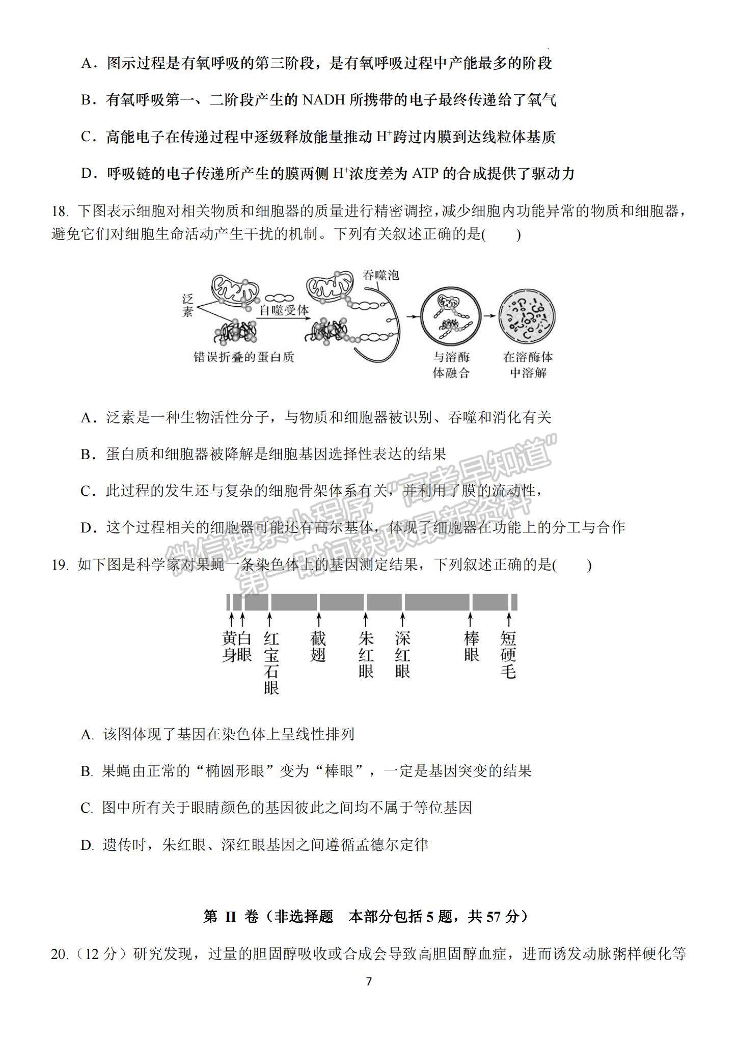 2023江蘇省揚州中學高三上學期10月月考生物試題及參考答案