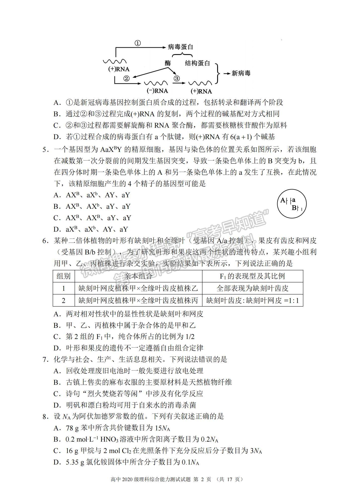 2023四川省蓉城名校聯(lián)盟高三上學期第一次聯(lián)考理綜試題及參考答案