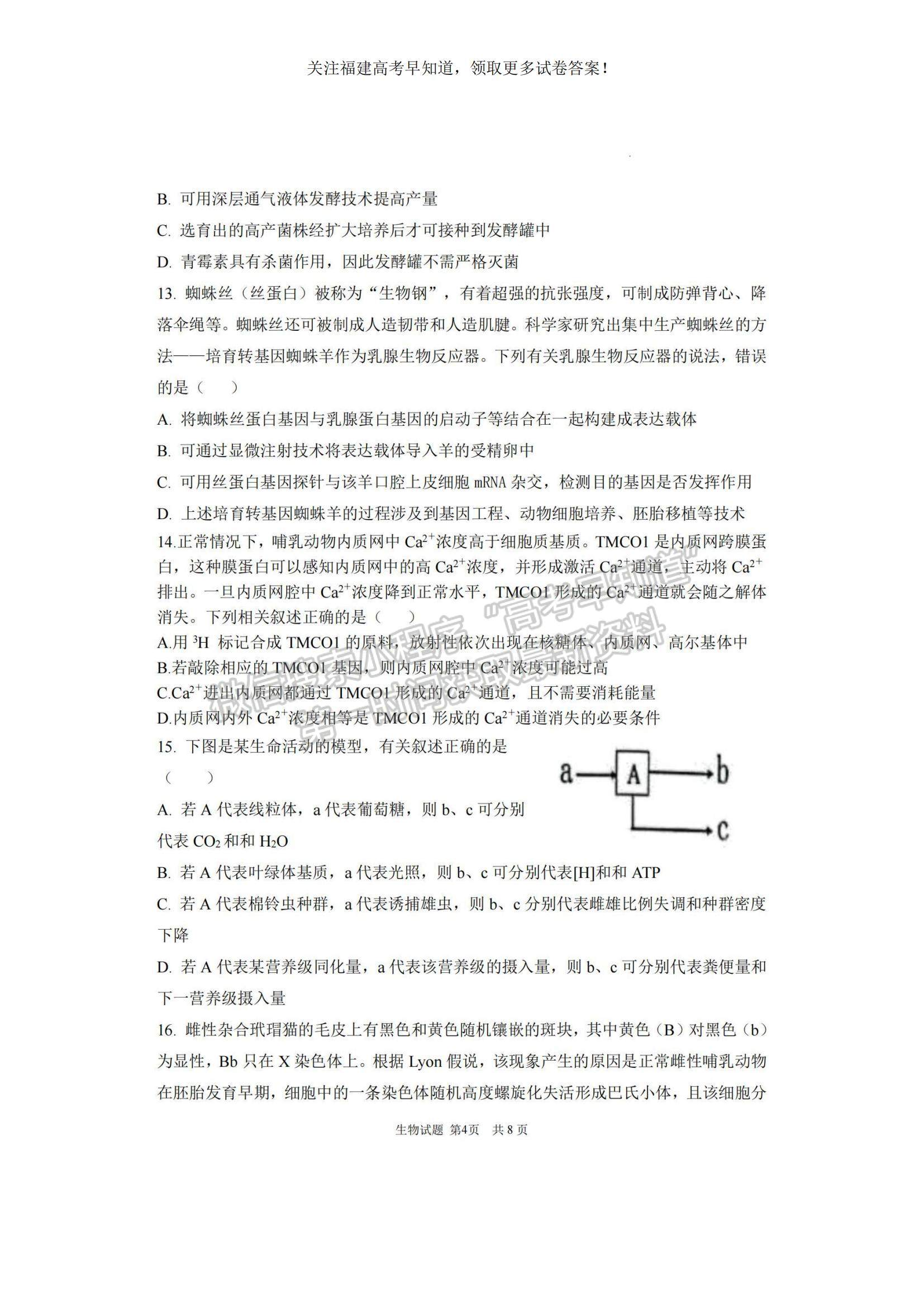 2023福建省泉州四校高三上學(xué)期10月期中聯(lián)考生物試題及參考答案