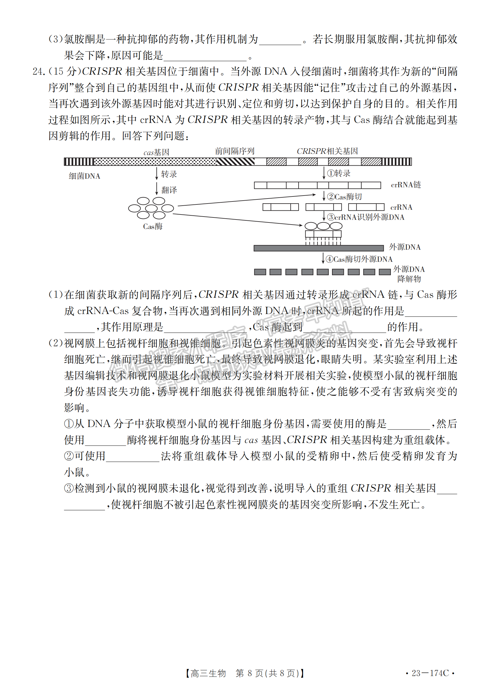 湖北省十堰市2022-2023學(xué)年高三上學(xué)期元月調(diào)研考生物試卷及參考答案