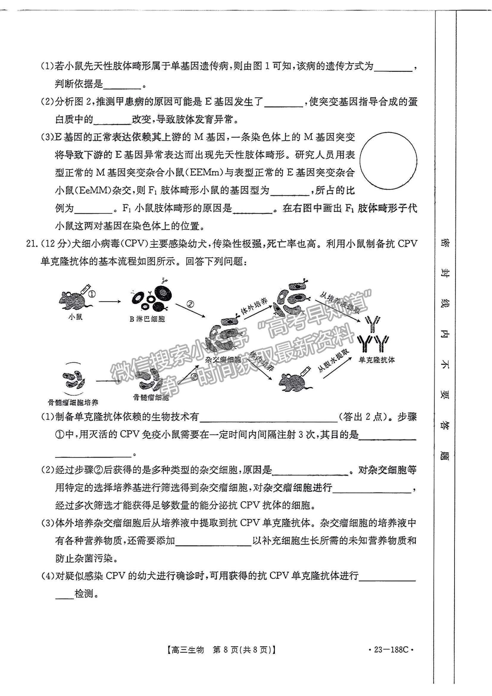 2023廣東高三12月大聯(lián)考(23-188C)生物試題及答案