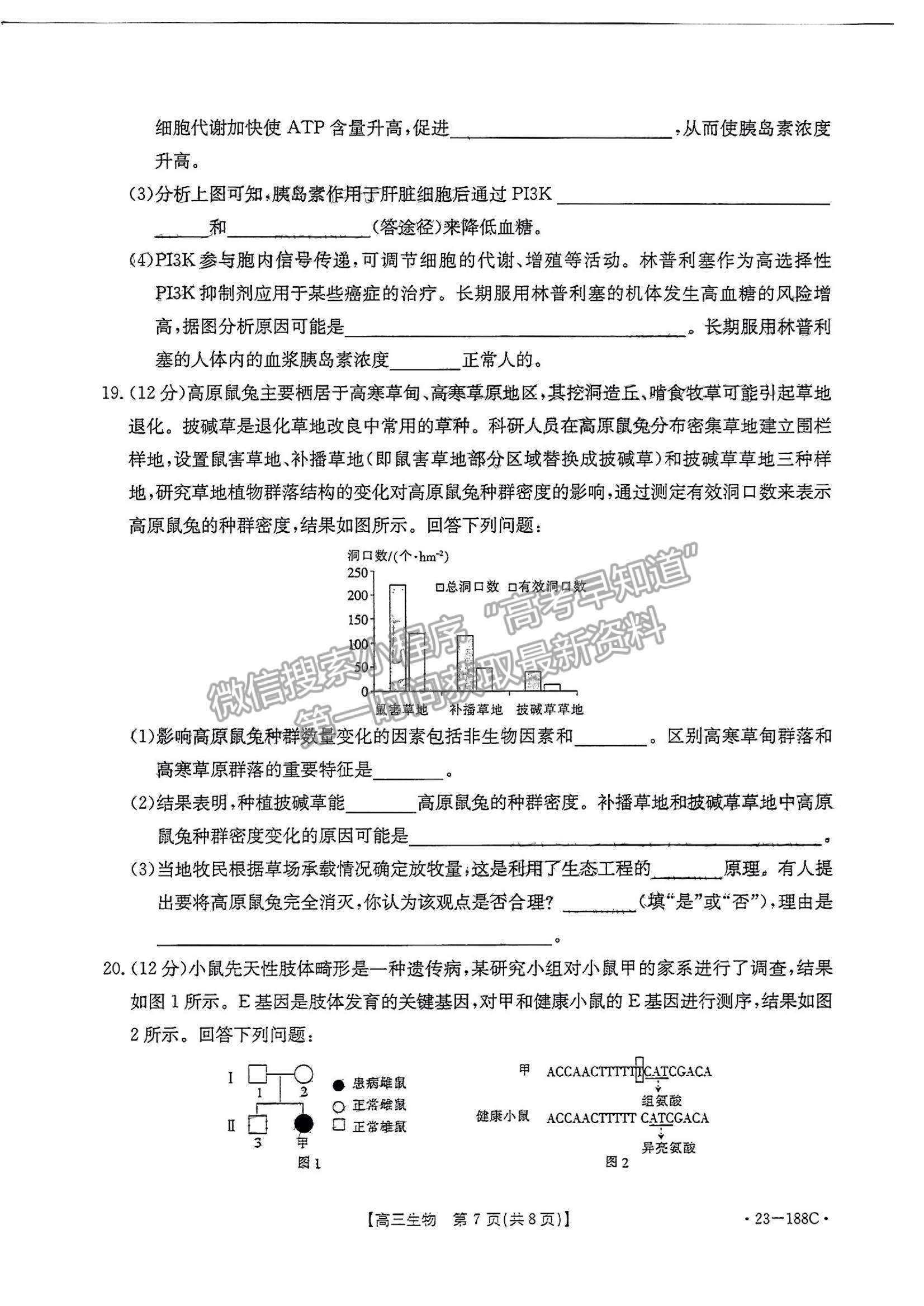 2023廣東高三12月大聯(lián)考(23-188C)生物試題及答案