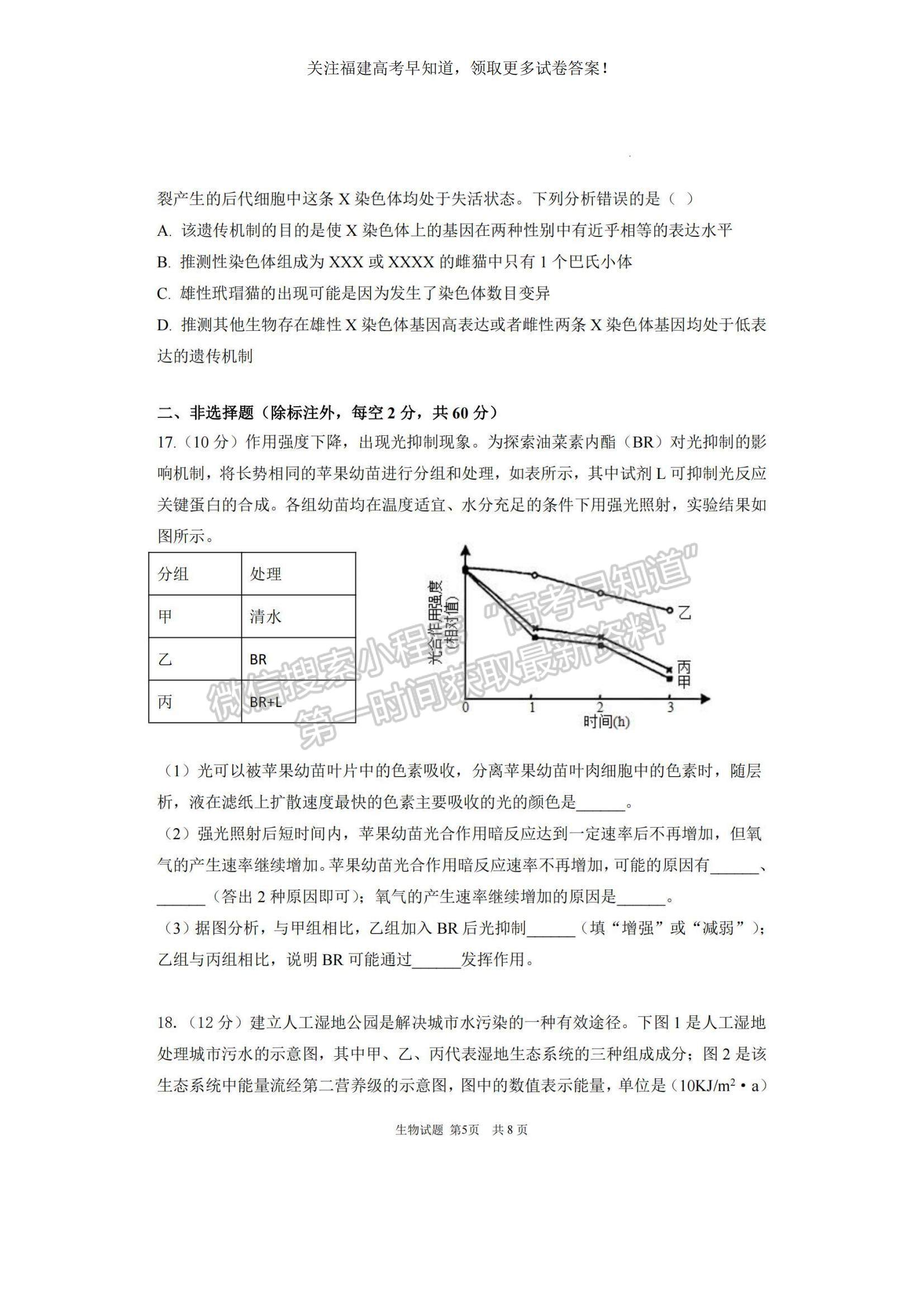 2023福建省泉州四校高三上學(xué)期10月期中聯(lián)考生物試題及參考答案