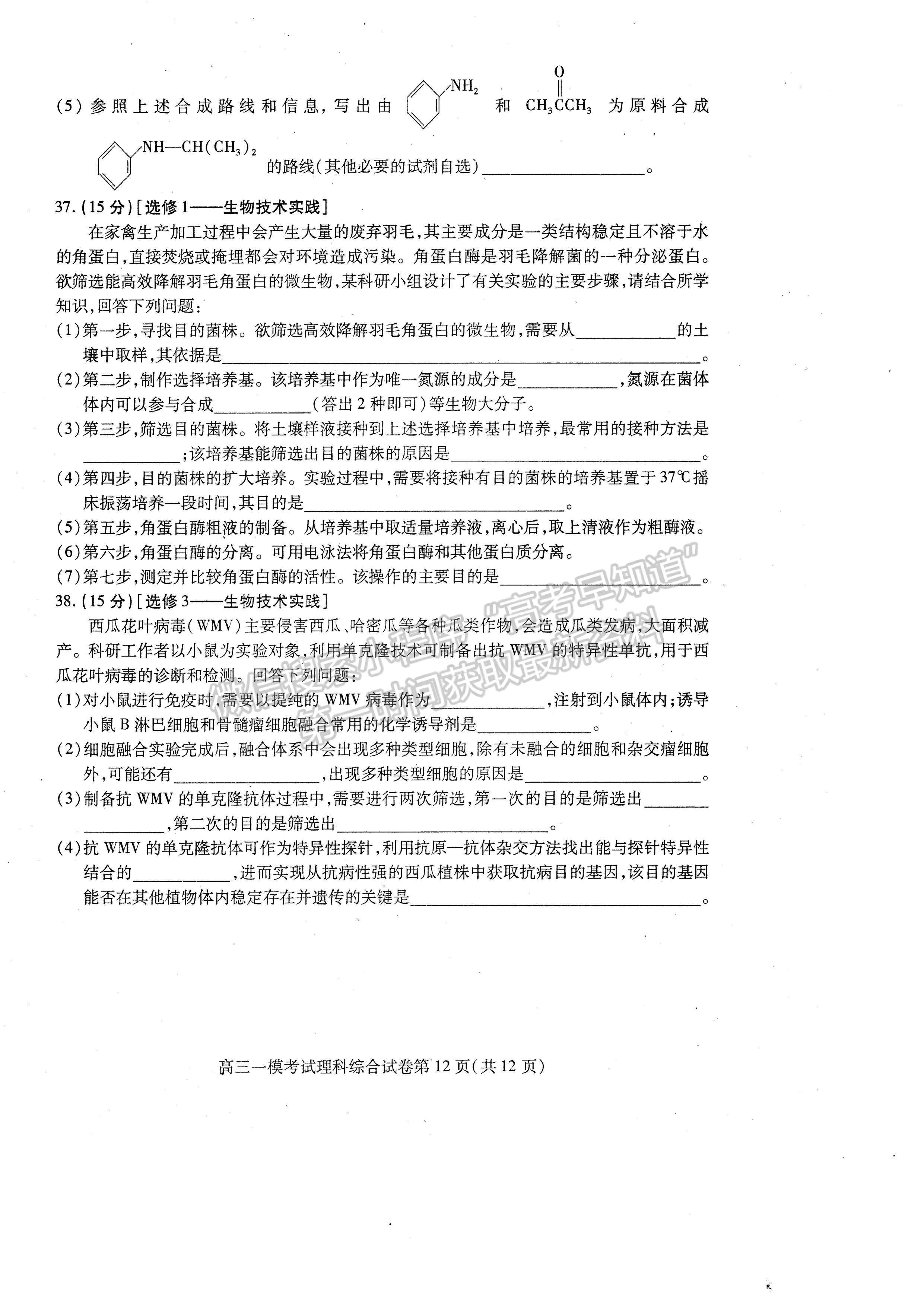 2023四川省內(nèi)江市高中2023屆第一次模擬考試?yán)砜凭C合試題及答案