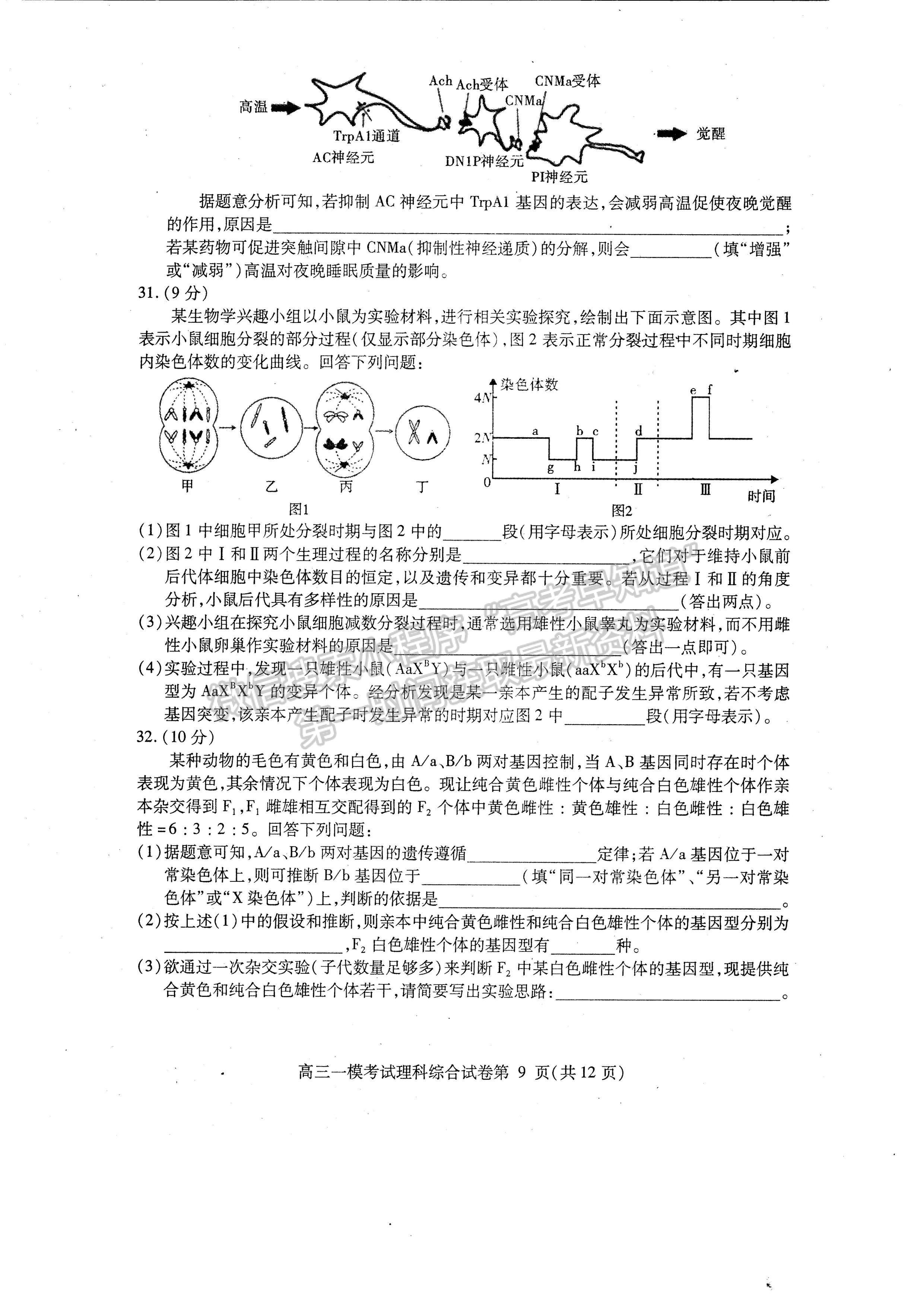 2023四川省內江市高中2023屆第一次模擬考試理科綜合試題及答案