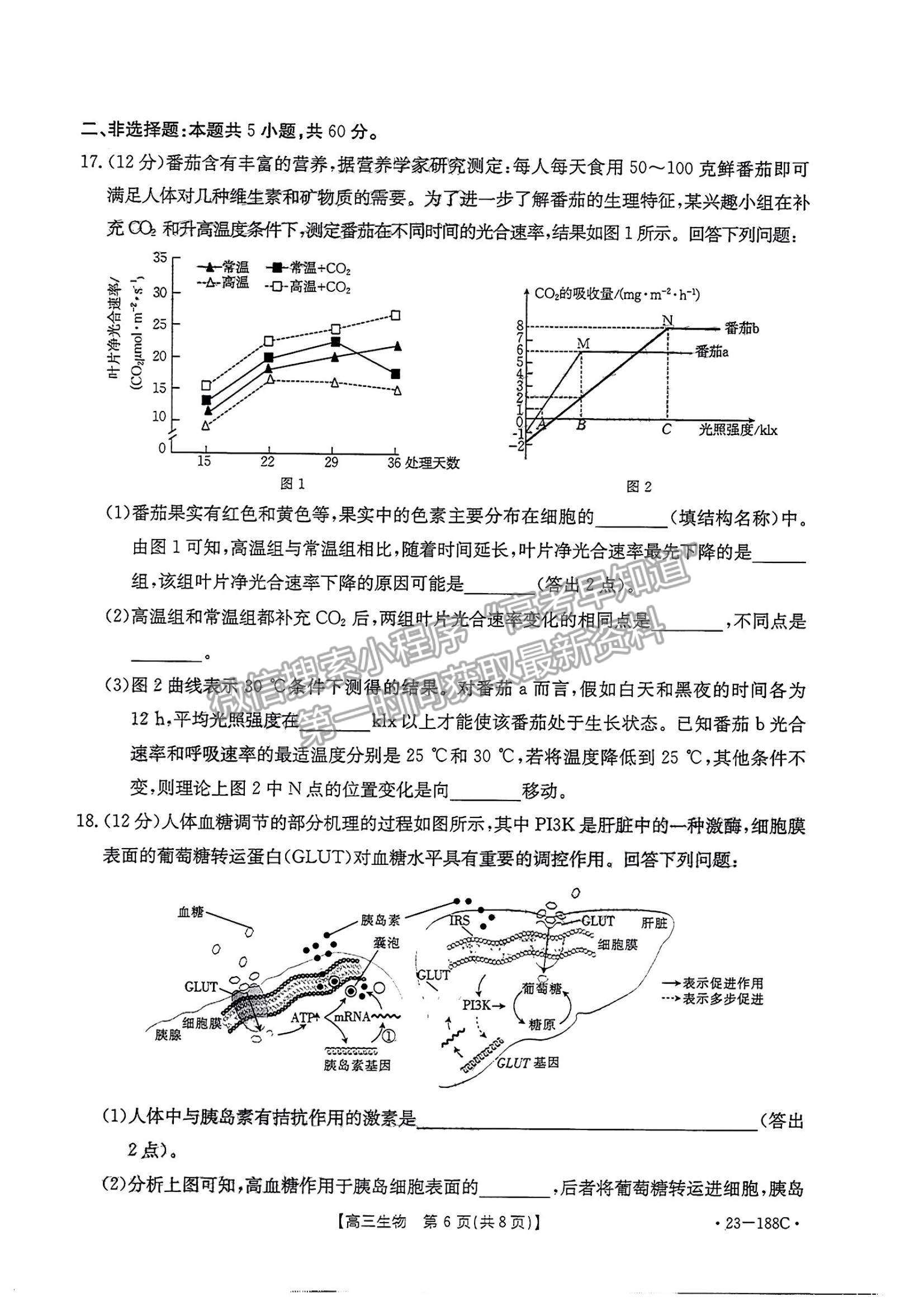 2023廣東高三12月大聯(lián)考(23-188C)生物試題及答案