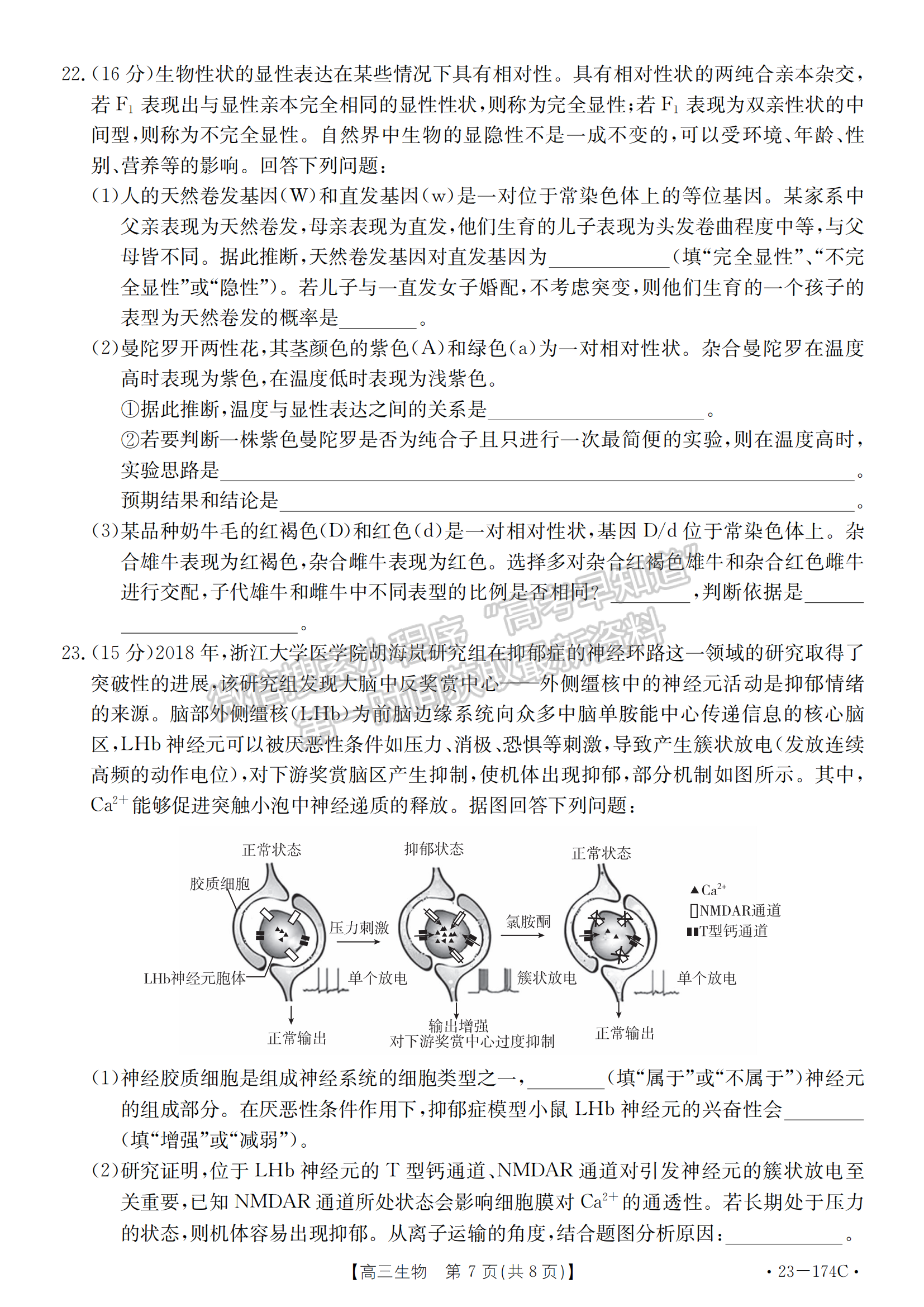 湖北省十堰市2022-2023學年高三上學期元月調(diào)研考生物試卷及參考答案