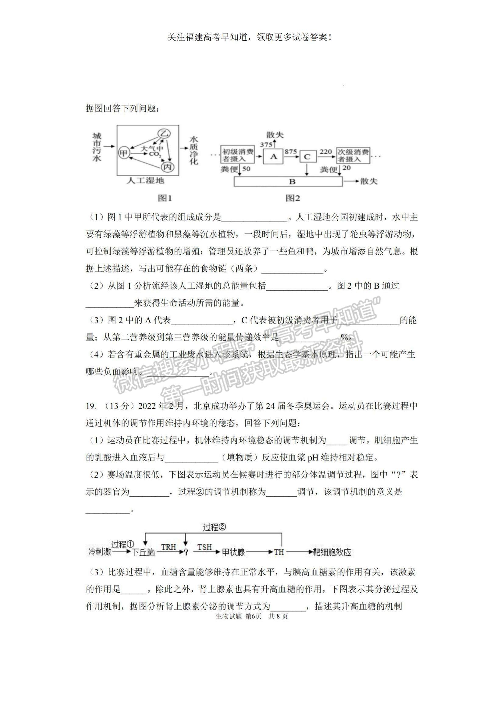 2023福建省泉州四校高三上學(xué)期10月期中聯(lián)考生物試題及參考答案