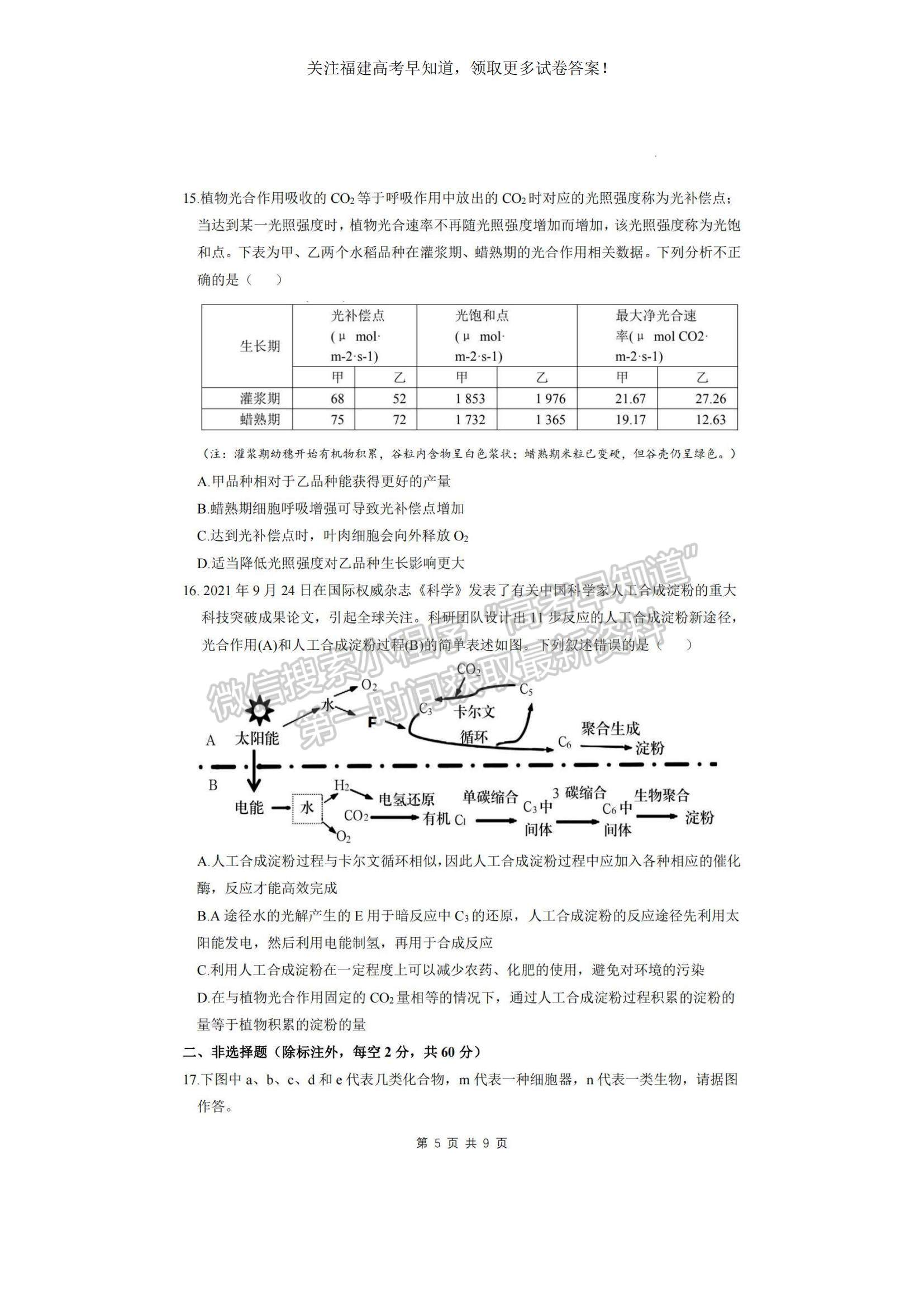 2023福建省龍巖一中高三上學(xué)期第二次月考生物試題及參考答案