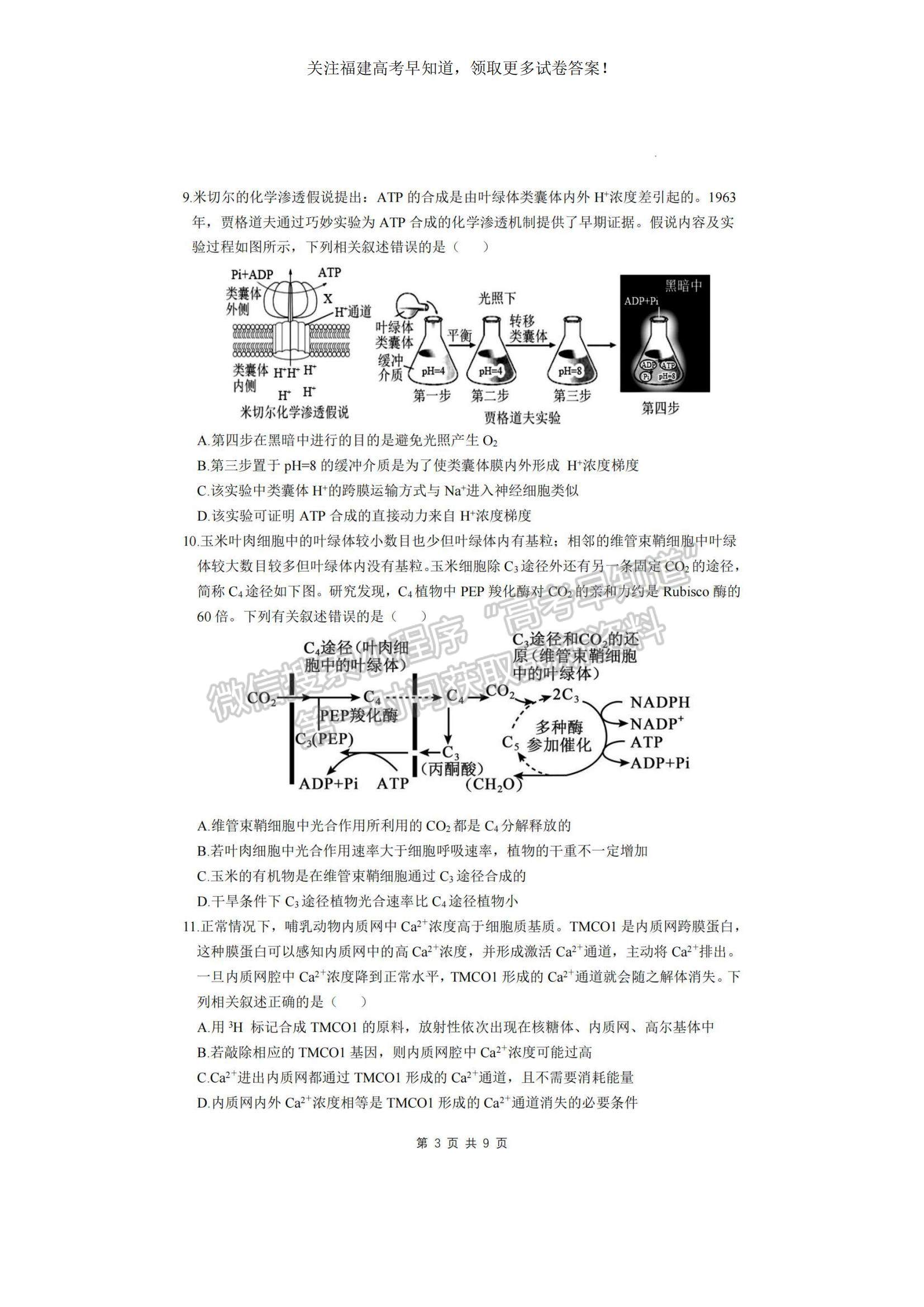 2023福建省龍巖一中高三上學期第二次月考生物試題及參考答案