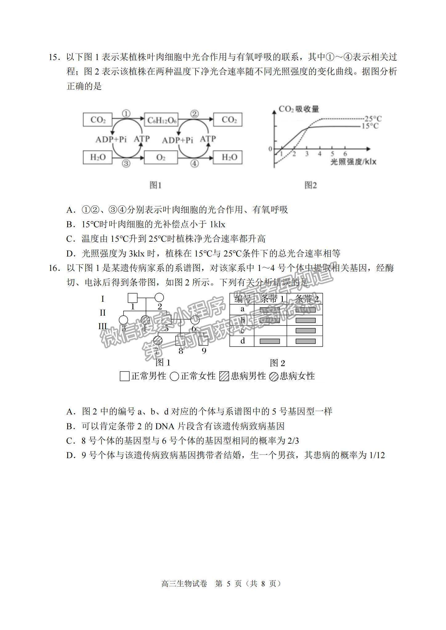 2023順德一模生物試題及參考答案