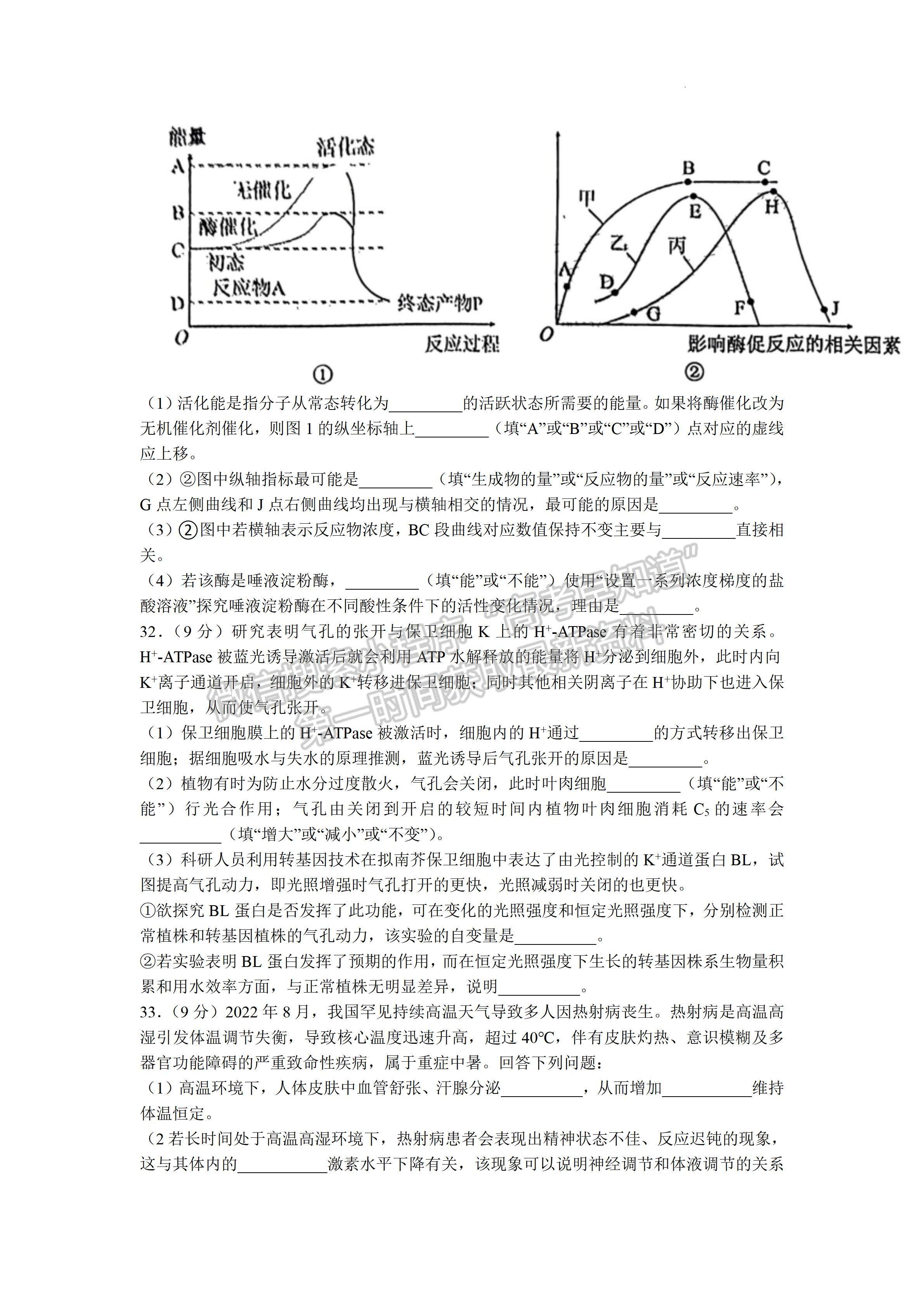 2023四川省德陽市高2023屆第一次診斷性考試生物試題及答案