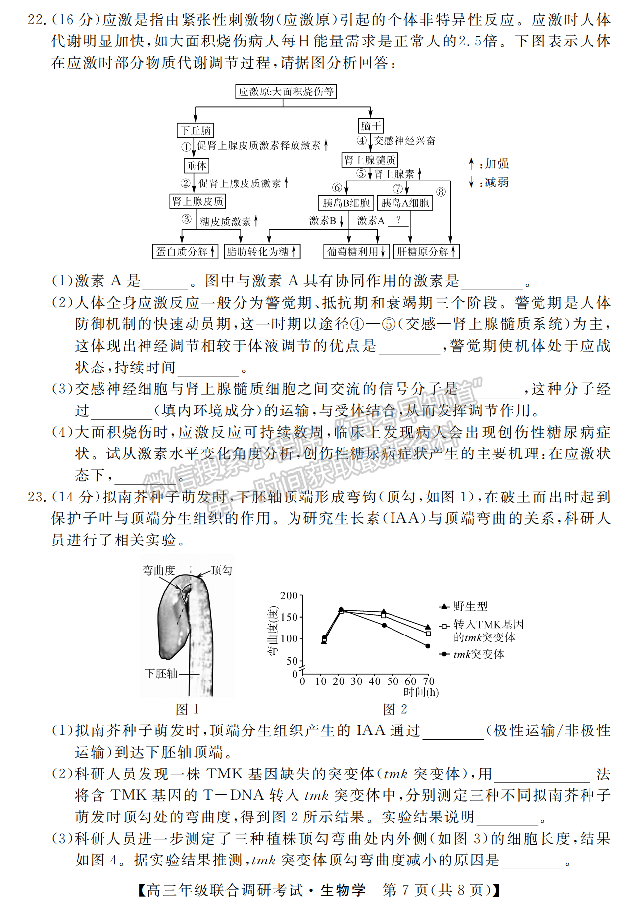 2023年湖北省部分市州元月高三年級聯(lián)合調(diào)研生物試卷及參考答案