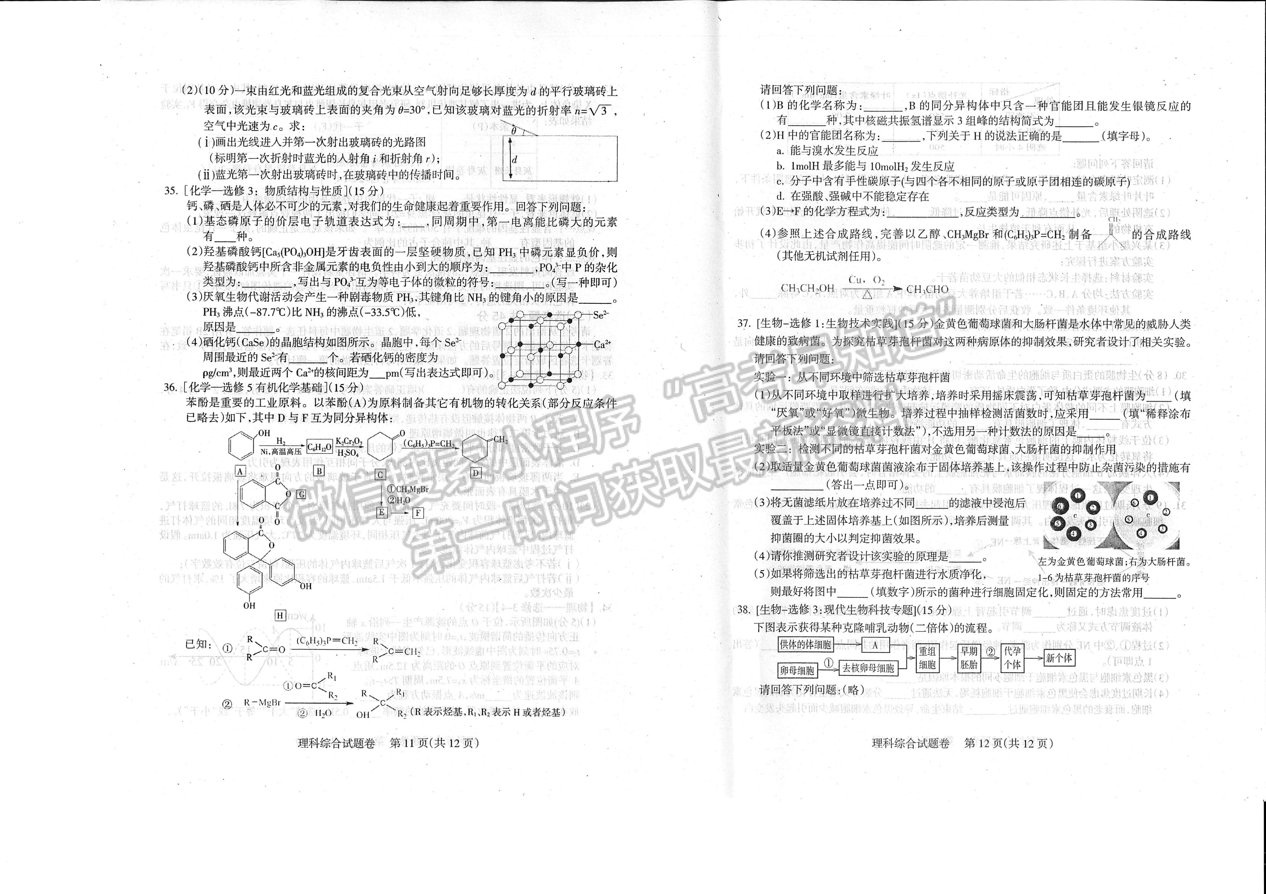 2023四川省涼山州2023屆高中畢業(yè)班第一次診斷性檢測理科綜合試題及答案